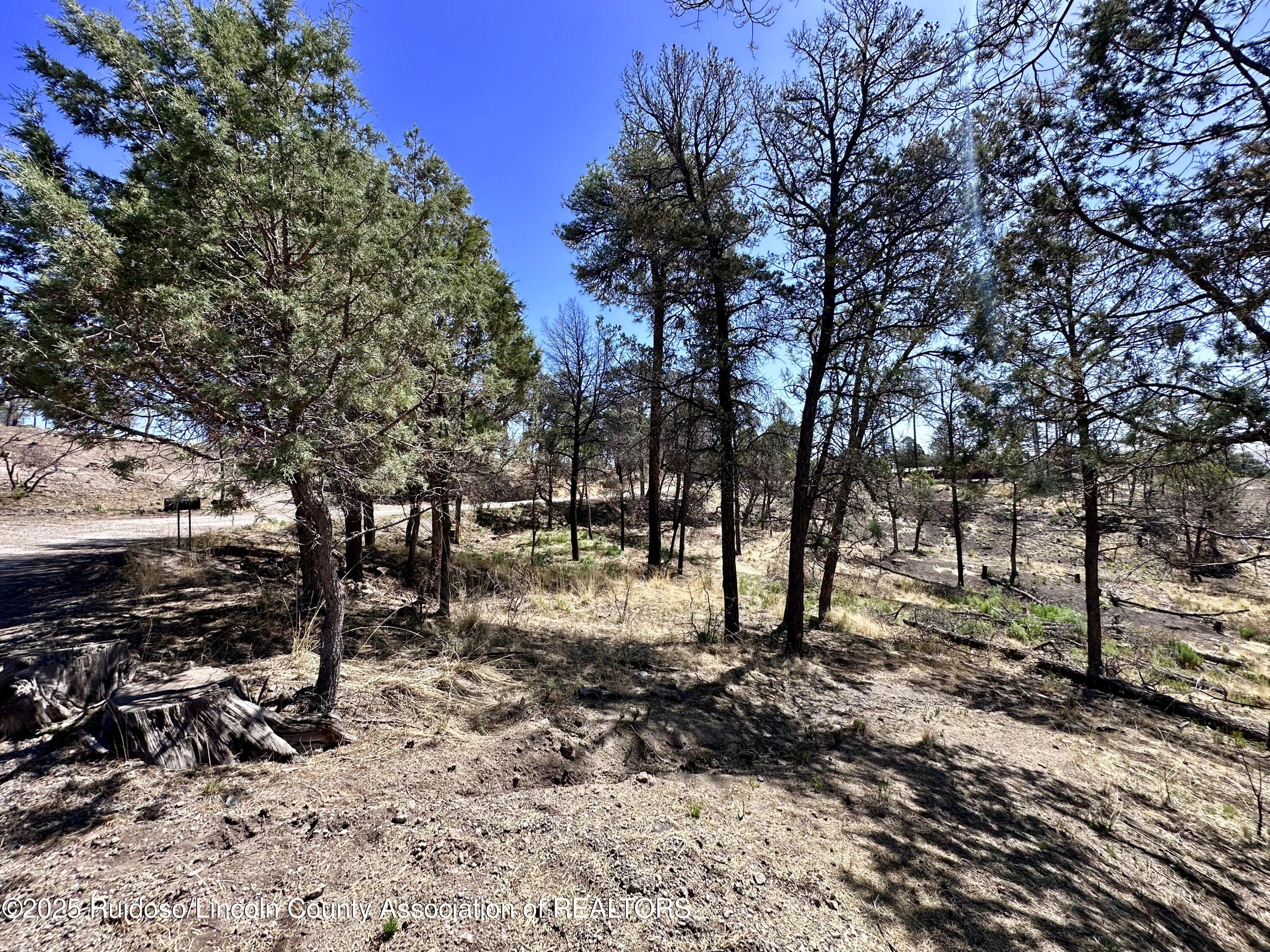 101 Gila Road, Ruidoso, New Mexico image 2