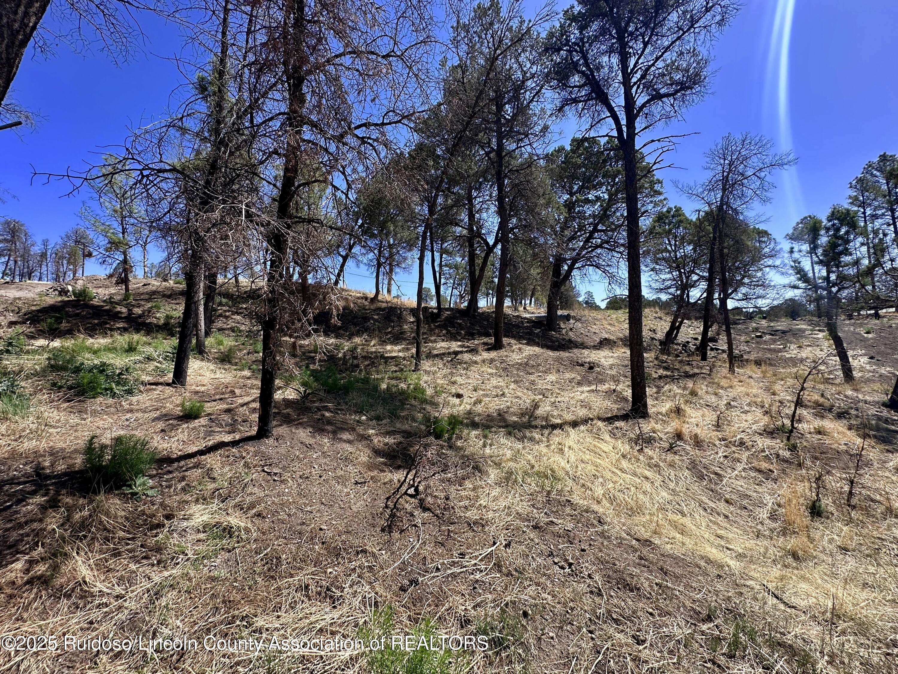 101 Gila Road, Ruidoso, New Mexico image 4