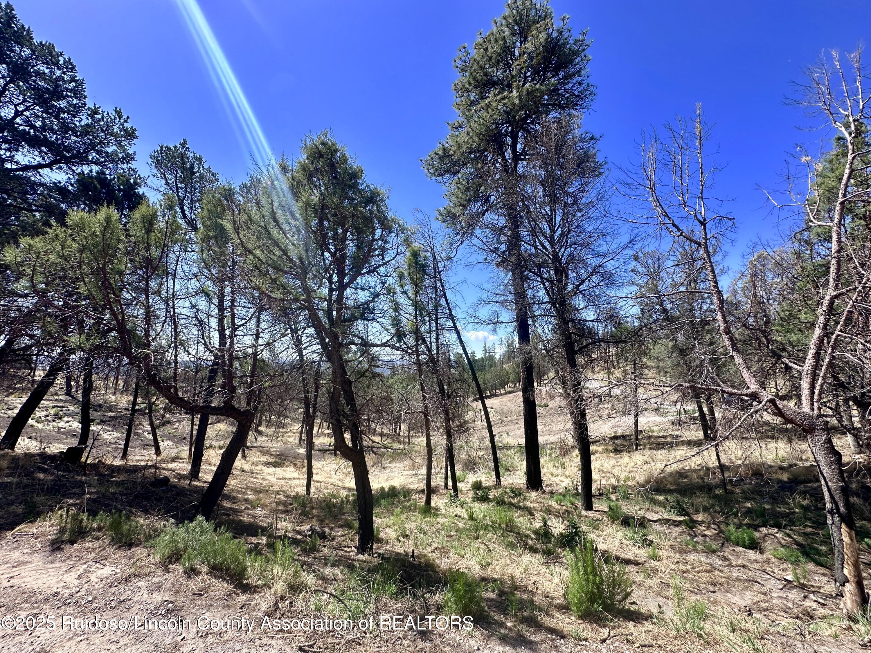 101 Gila Road, Ruidoso, New Mexico image 8