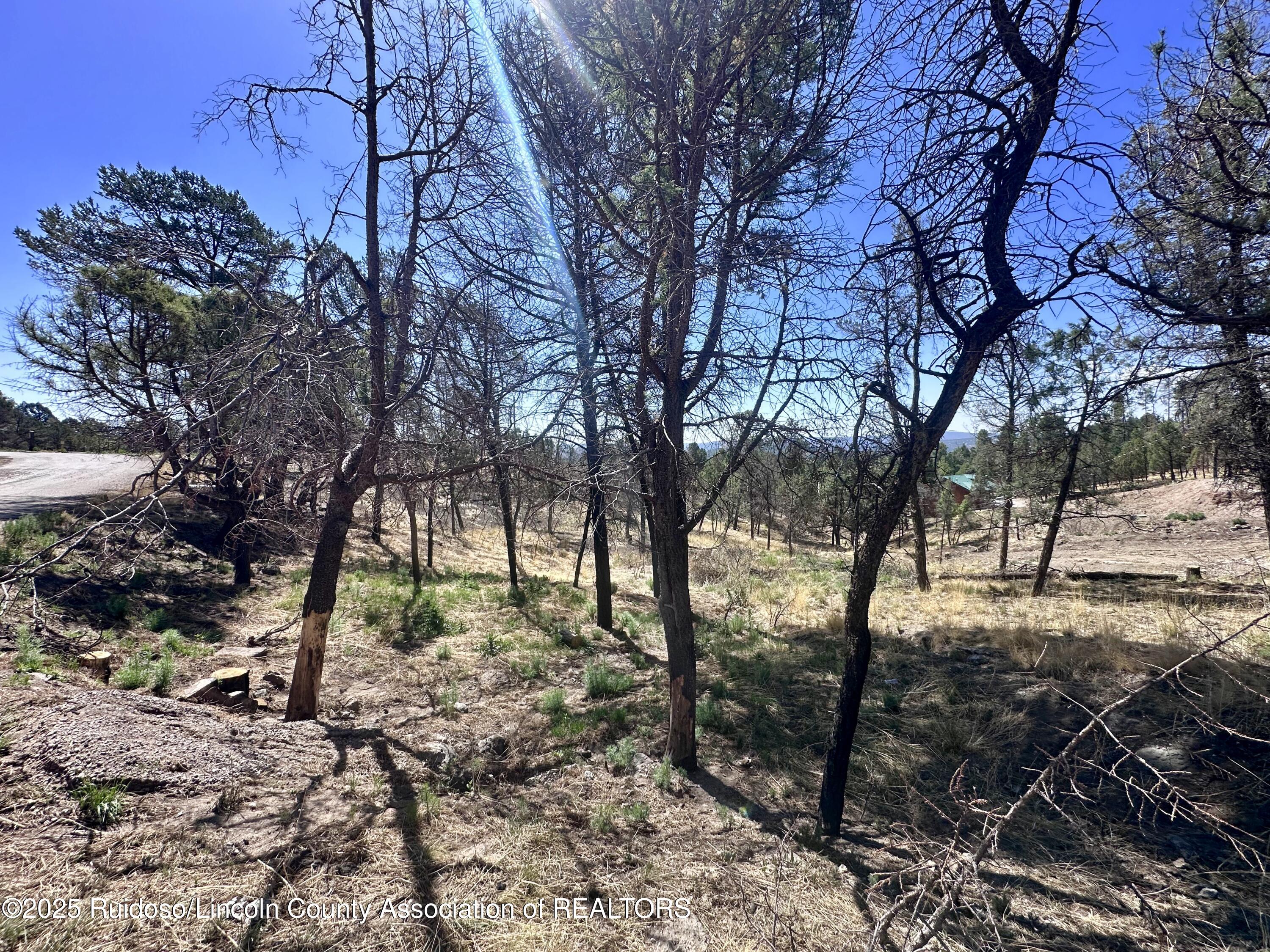 101 Gila Road, Ruidoso, New Mexico image 9
