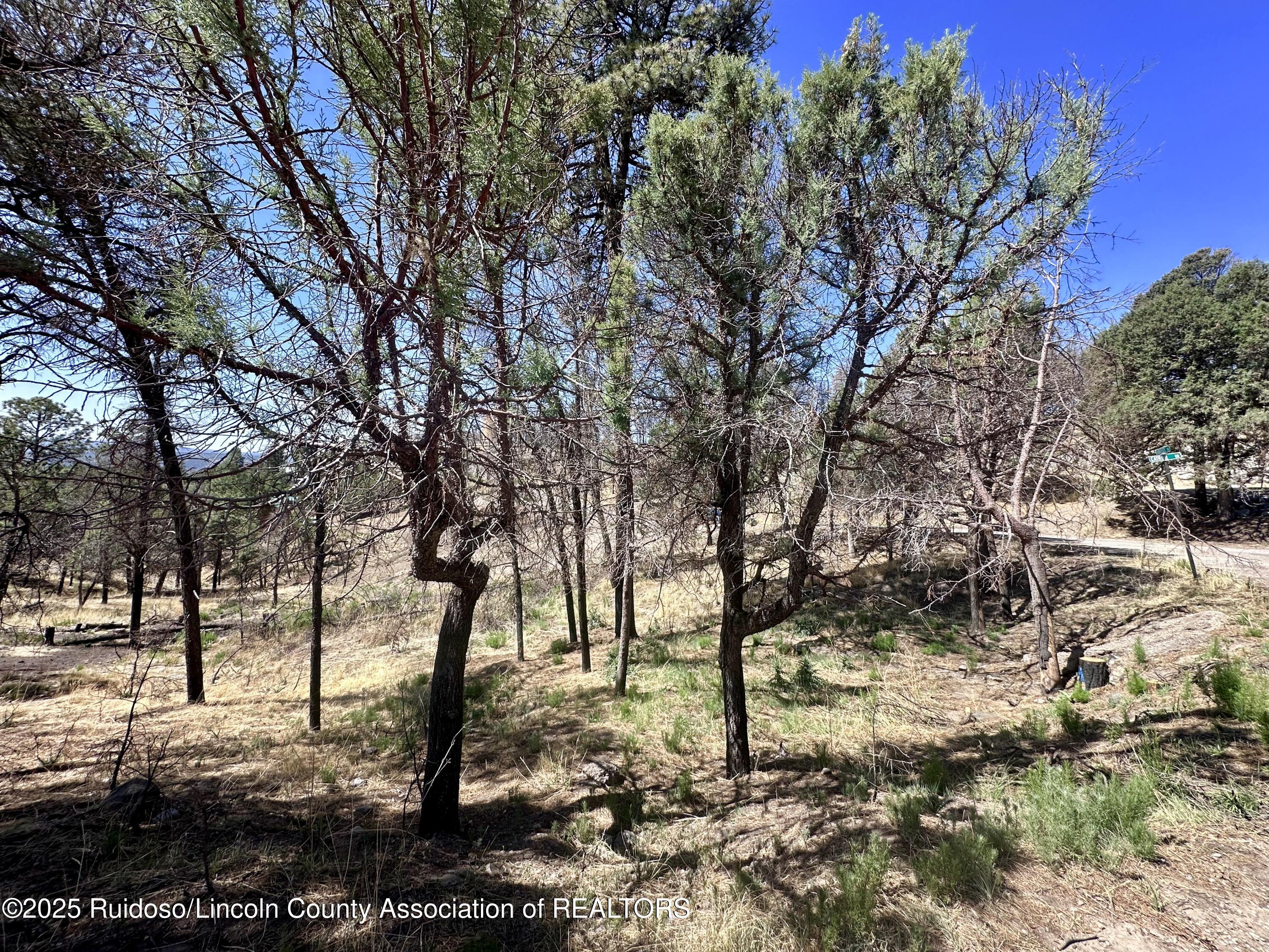 101 Gila Road, Ruidoso, New Mexico image 7