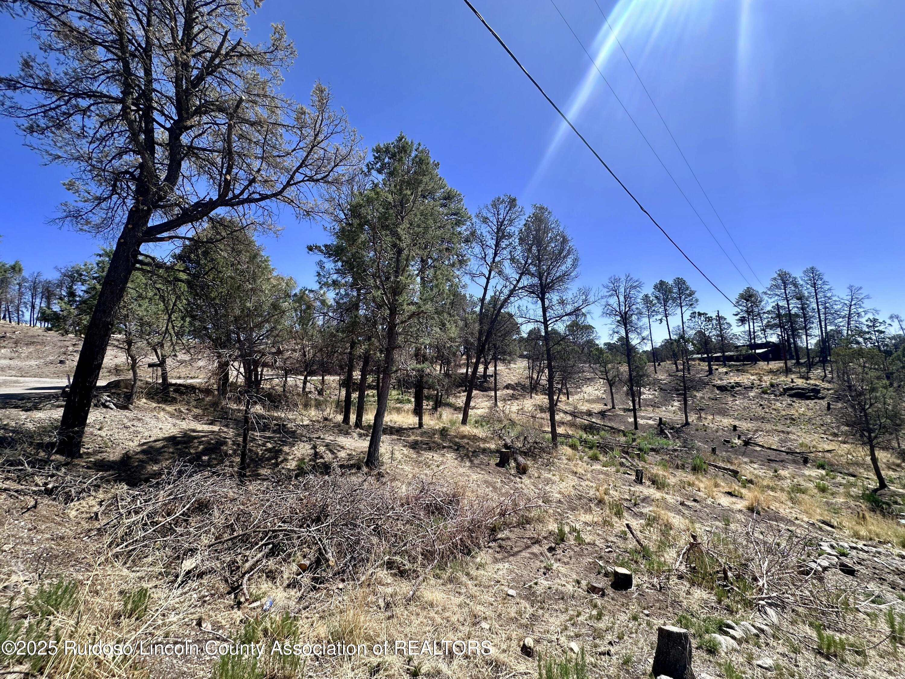 101 Gila Road, Ruidoso, New Mexico image 1