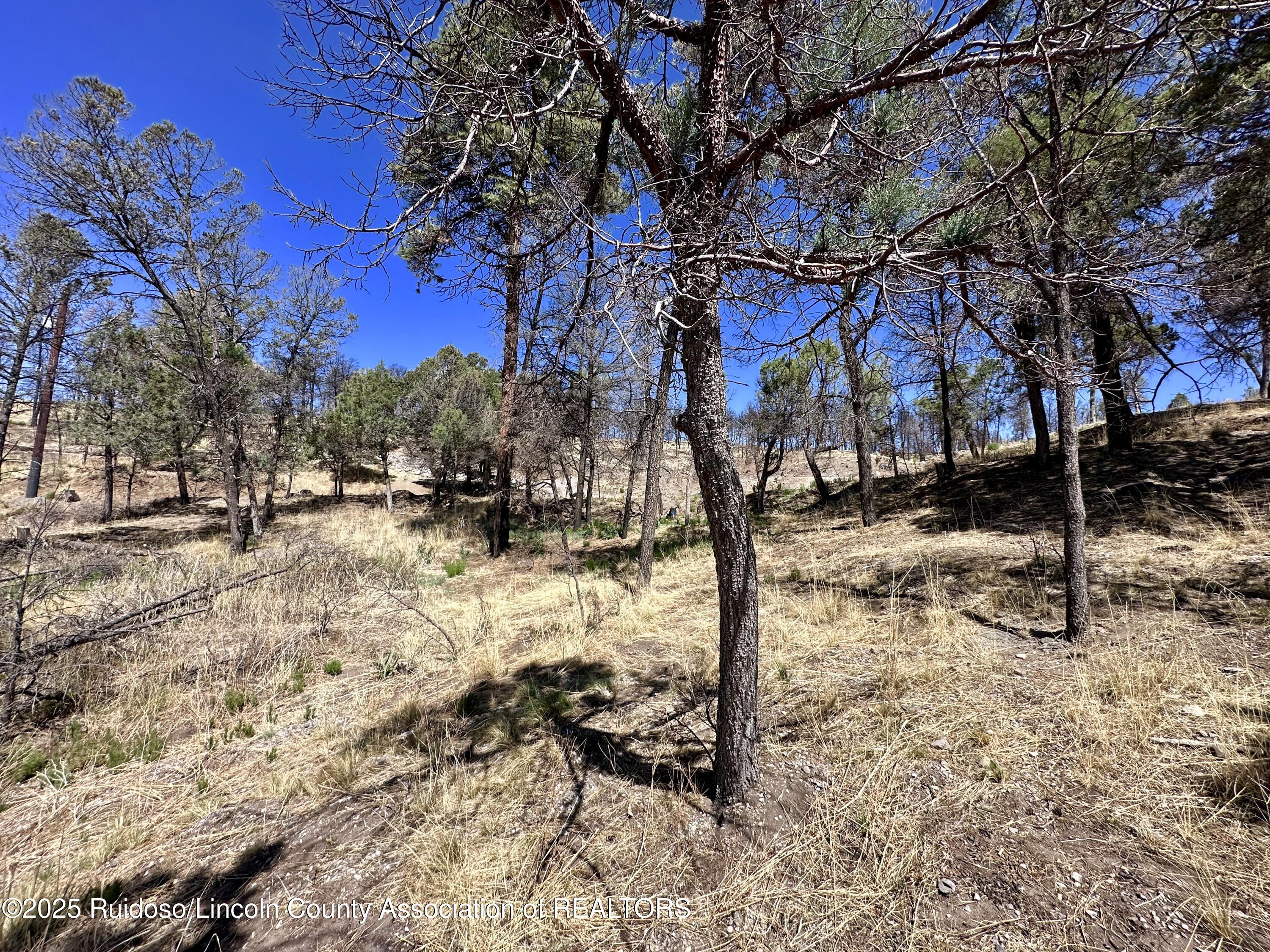 101 Gila Road, Ruidoso, New Mexico image 5