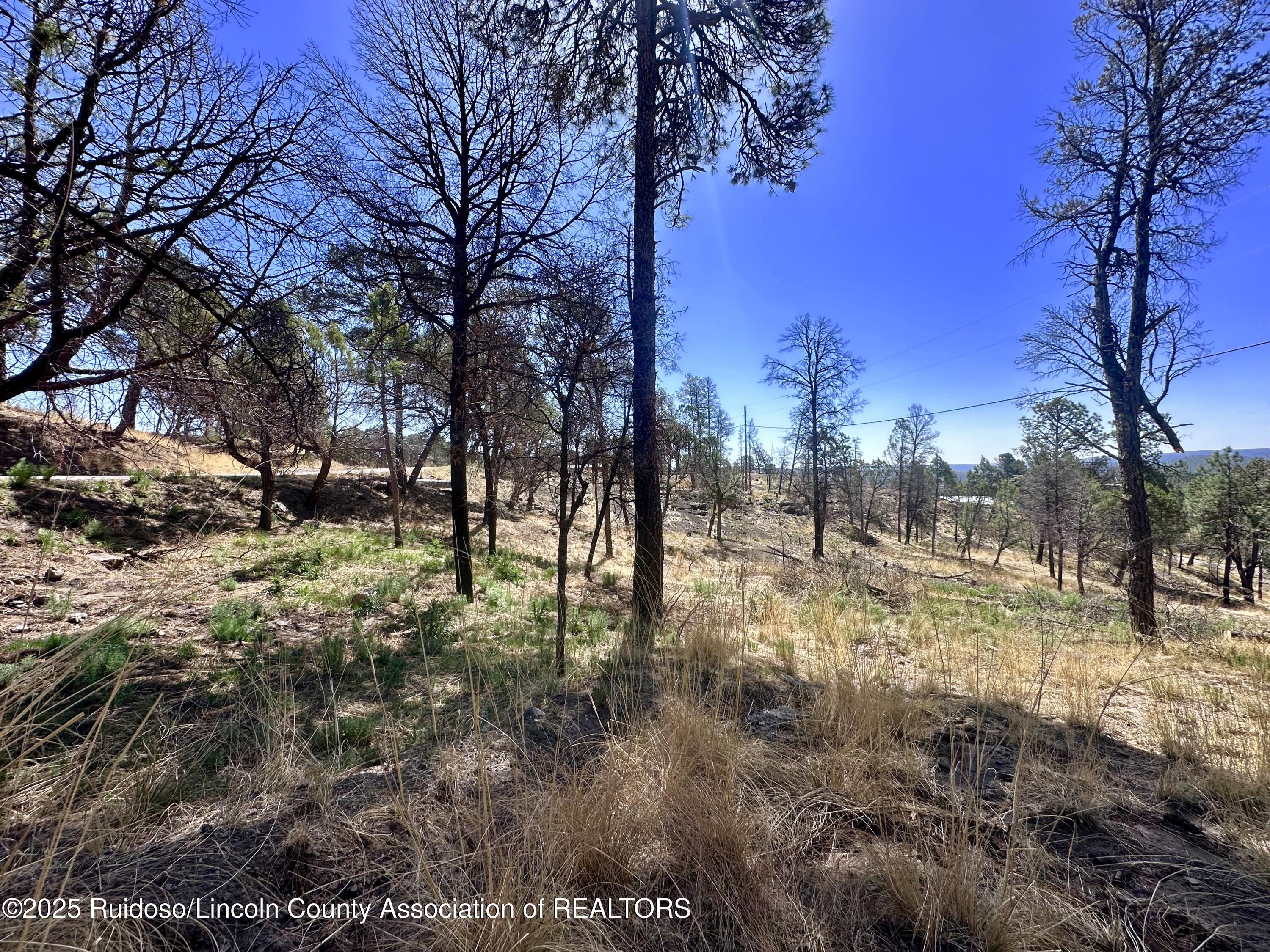 101 Gila Road, Ruidoso, New Mexico image 10