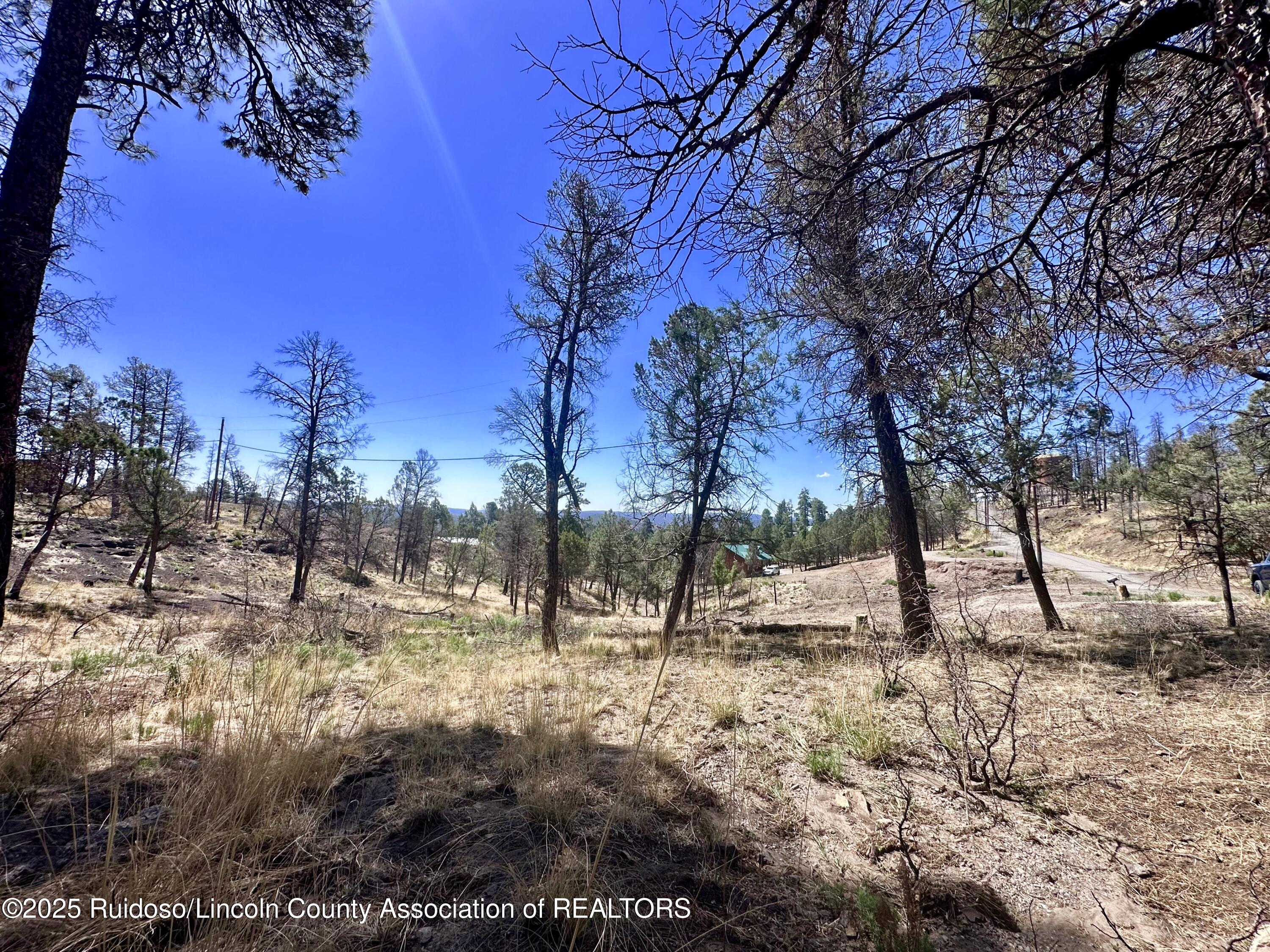 101 Gila Road, Ruidoso, New Mexico image 11