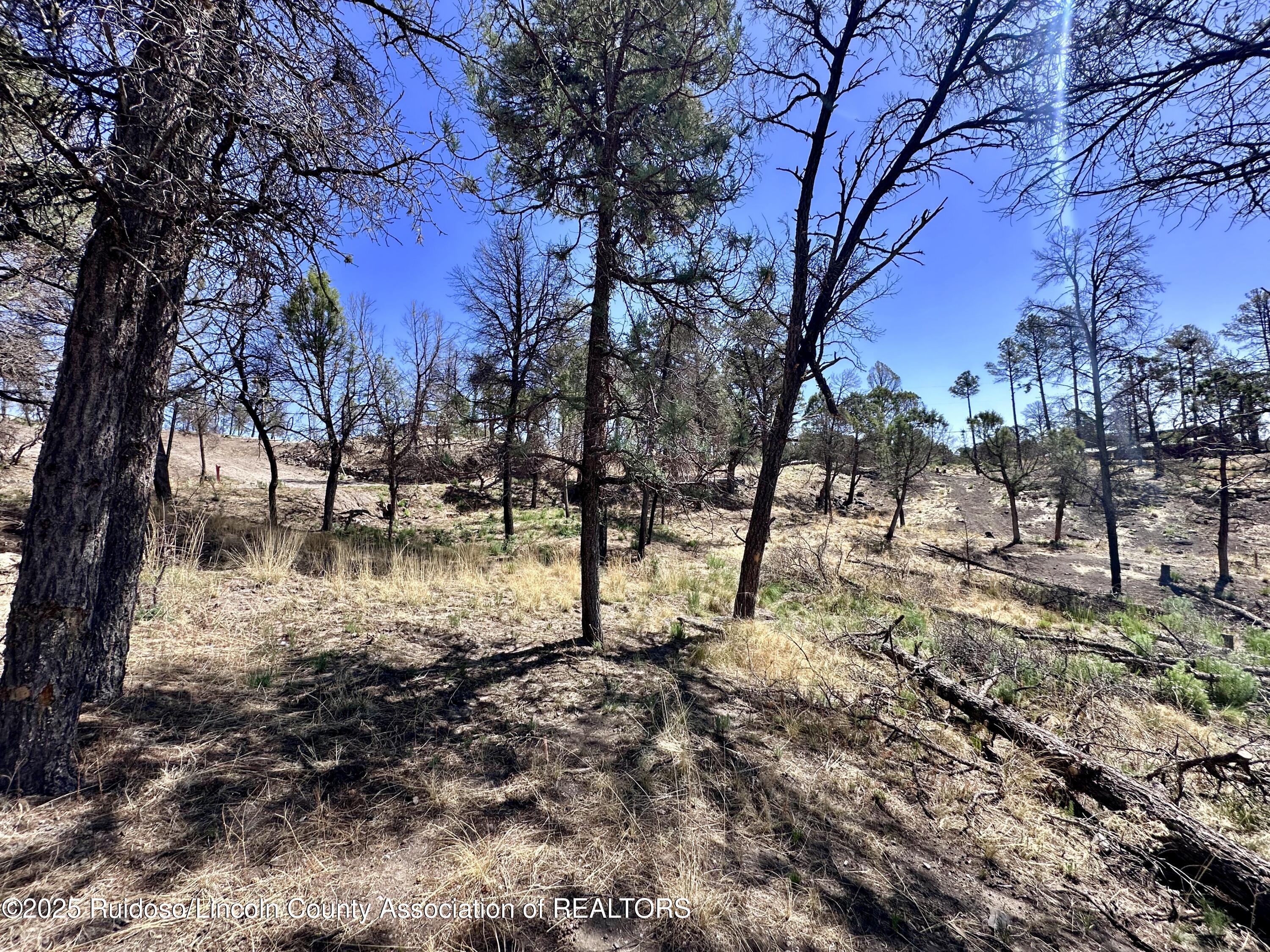 101 Gila Road, Ruidoso, New Mexico image 3