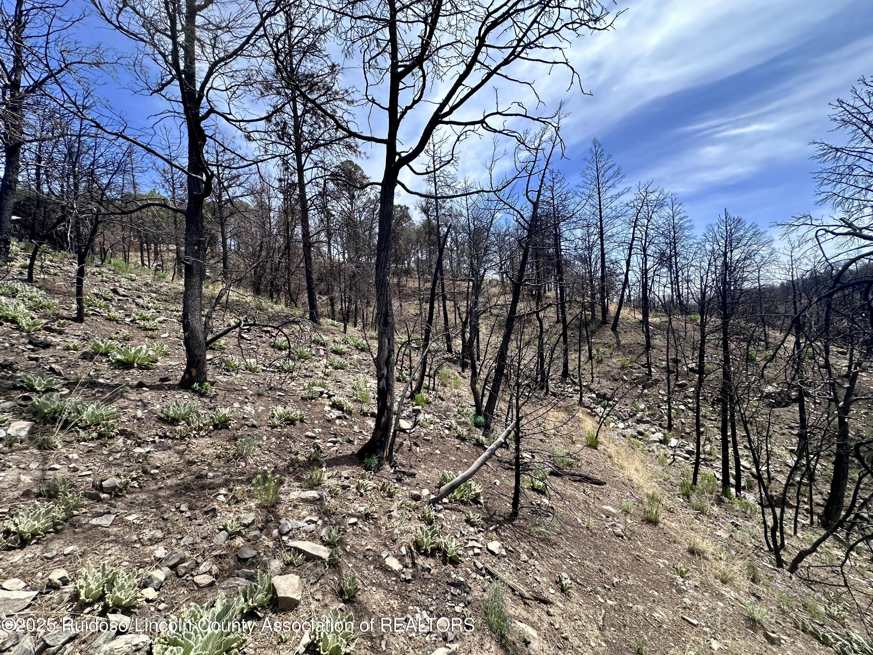 Lots 5-9 Alpine Village Drive, Ruidoso, New Mexico image 7