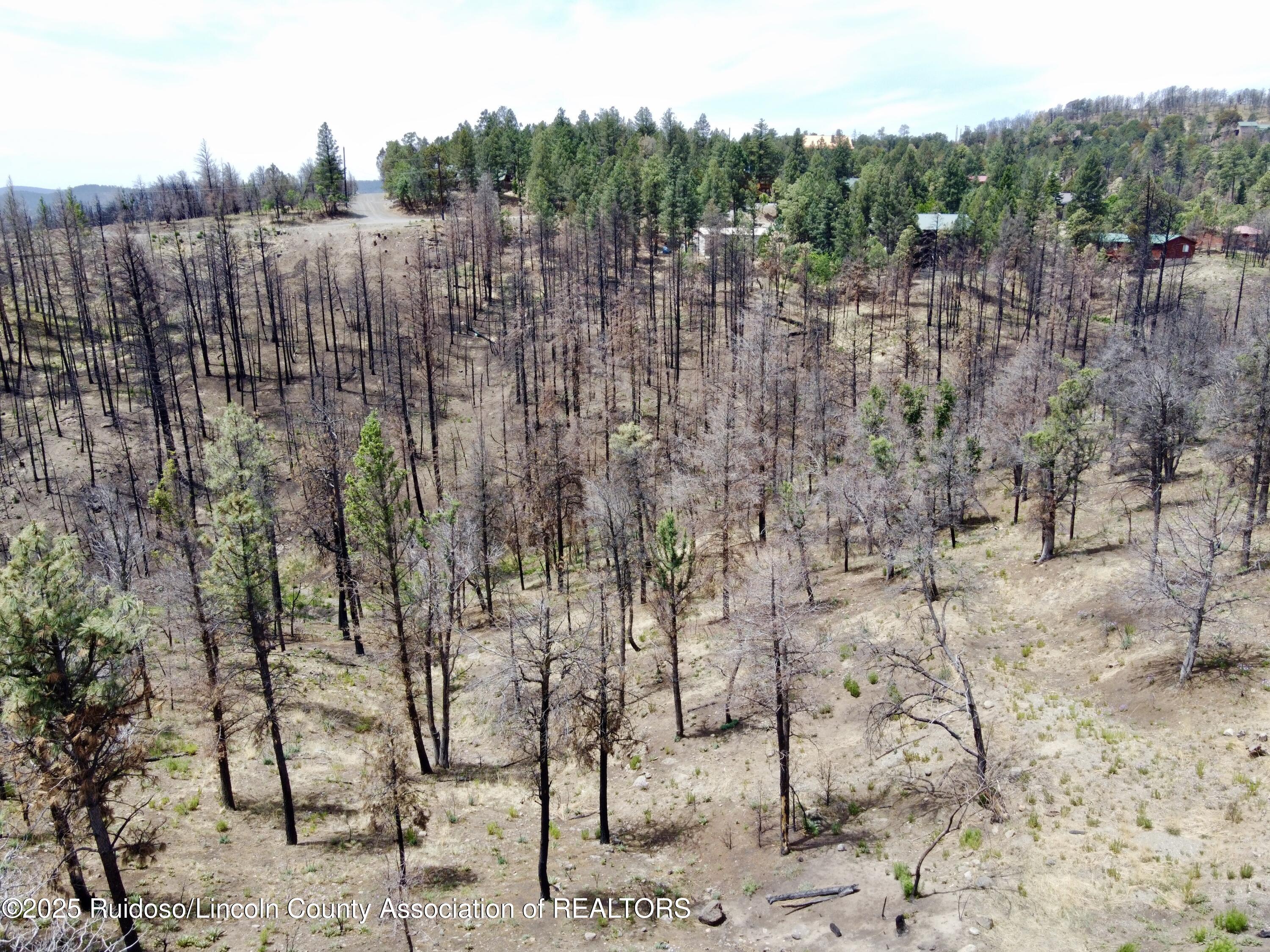 Lots 5-9 Alpine Village Drive, Ruidoso, New Mexico image 16