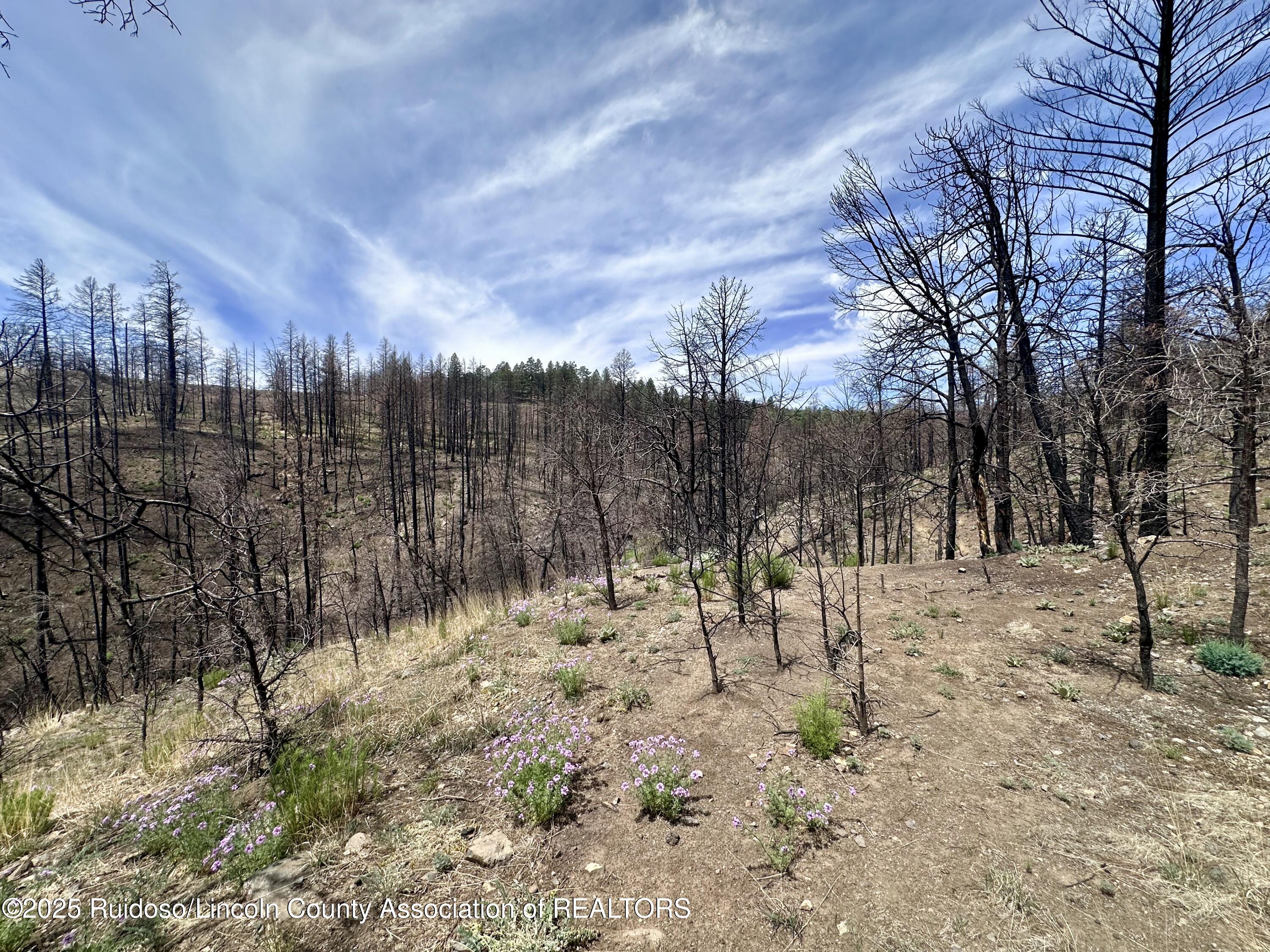 Lots 5-9 Alpine Village Drive, Ruidoso, New Mexico image 10