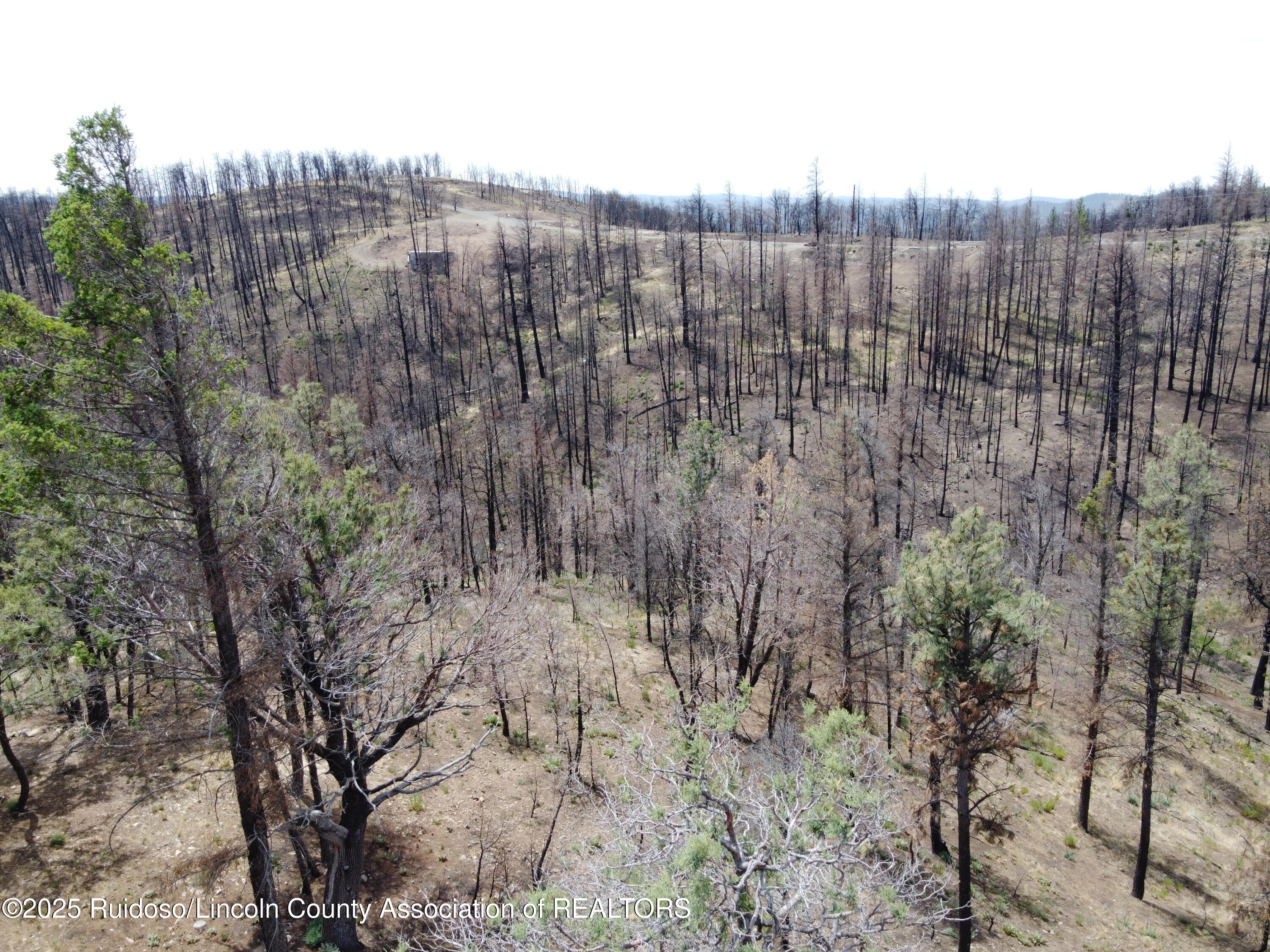 Lots 5-9 Alpine Village Drive, Ruidoso, New Mexico image 15