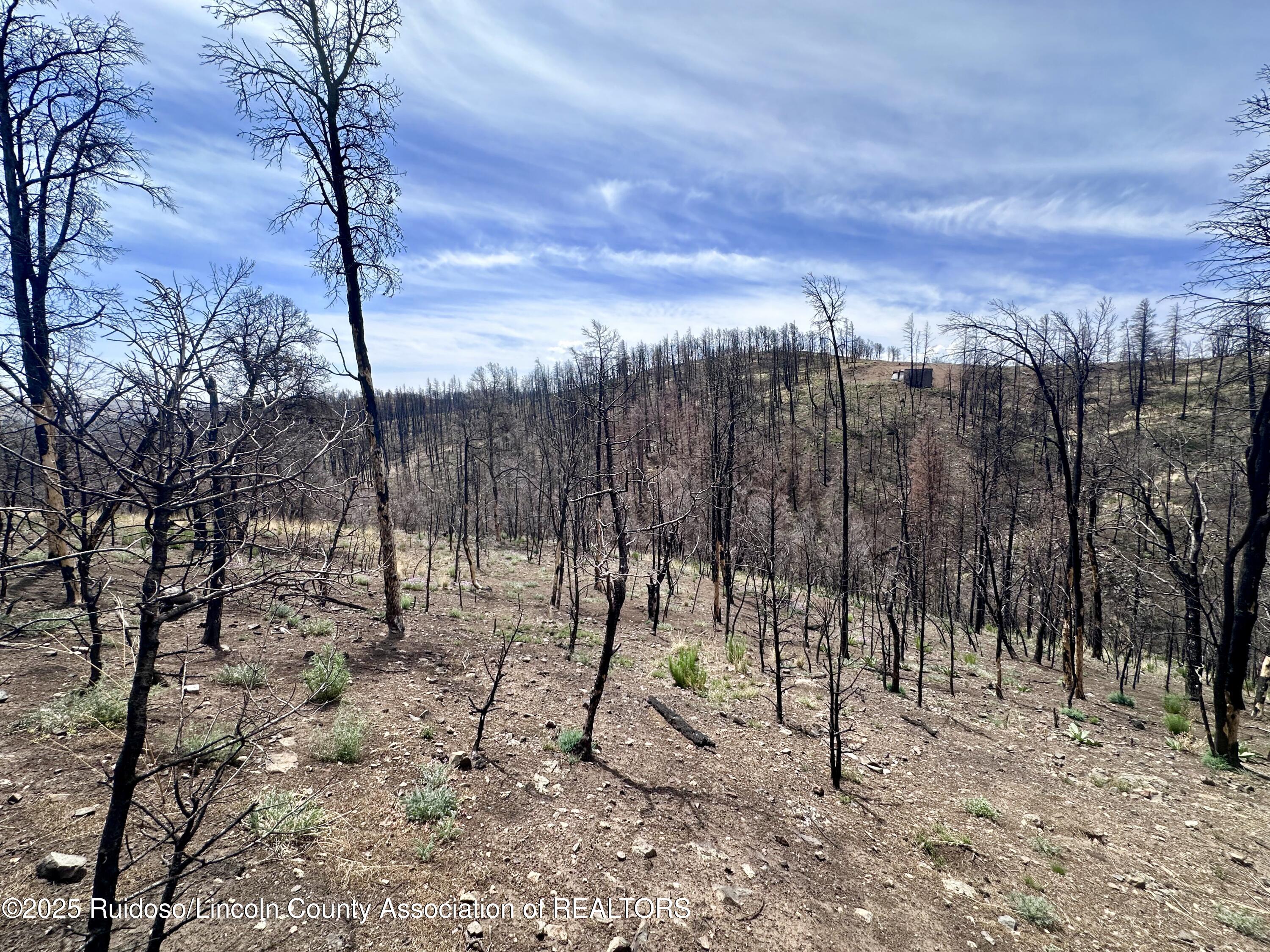 Lots 5-9 Alpine Village Drive, Ruidoso, New Mexico image 11