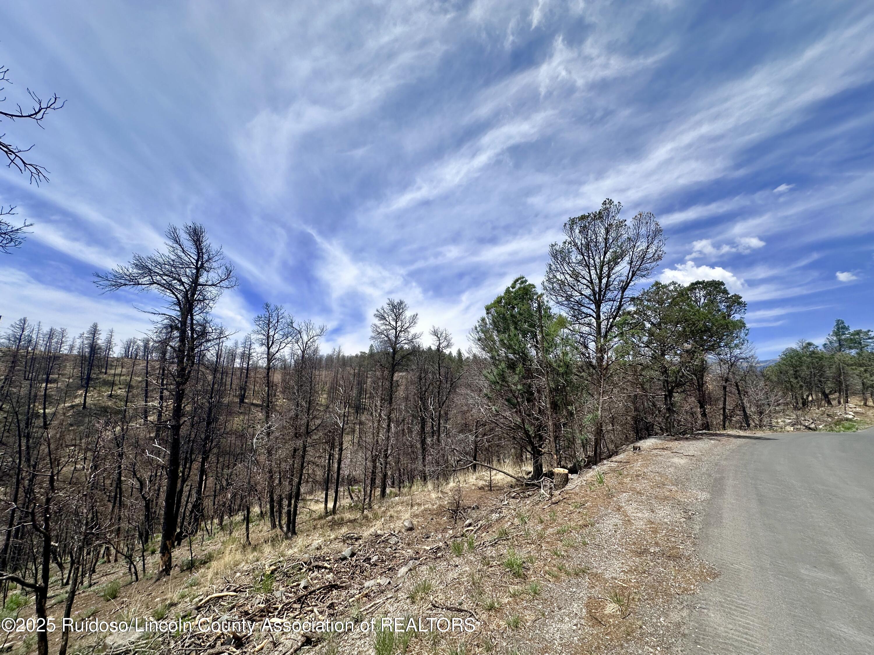 Lots 5-9 Alpine Village Drive, Ruidoso, New Mexico image 6