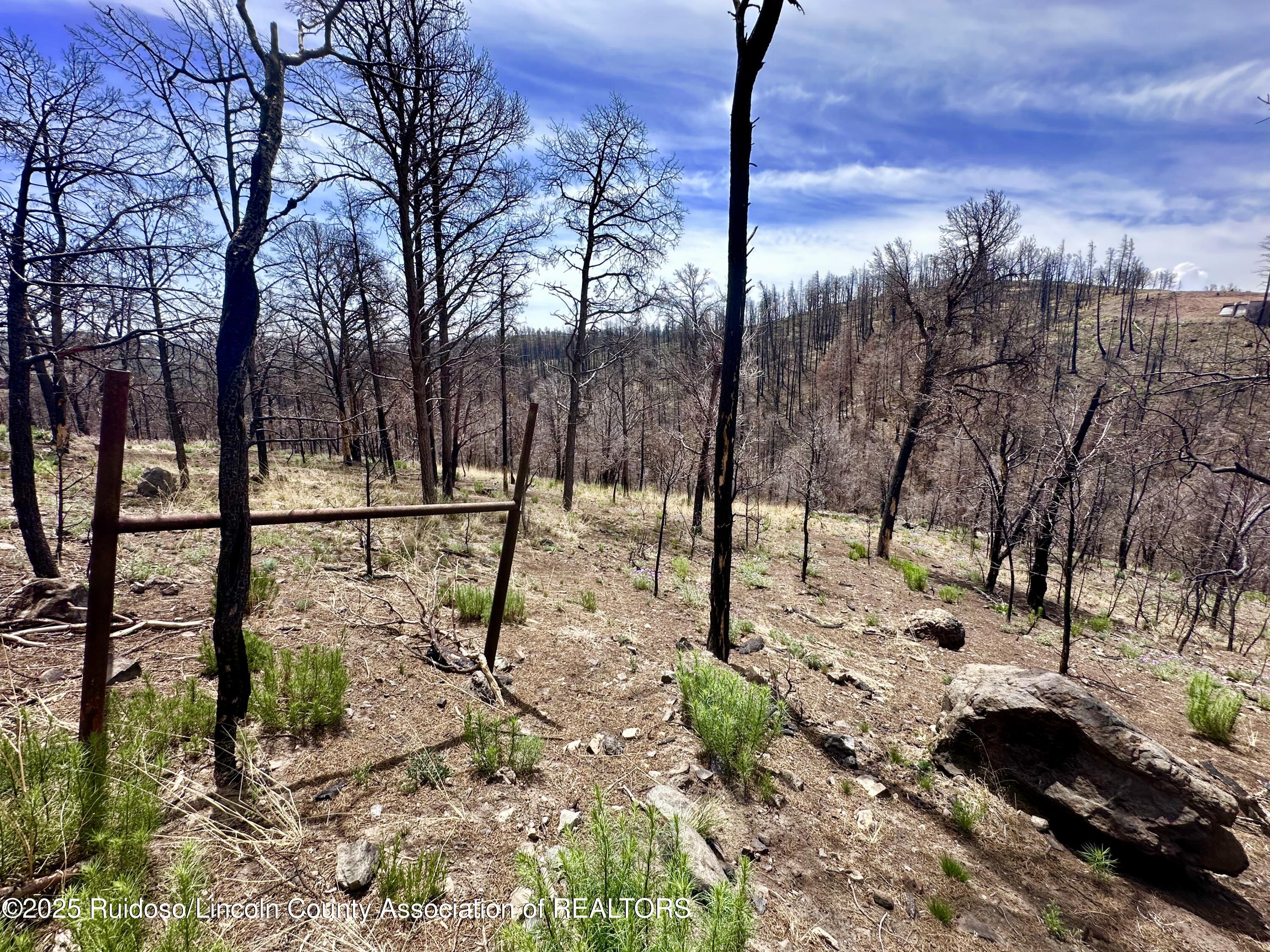 Lots 5-9 Alpine Village Drive, Ruidoso, New Mexico image 4