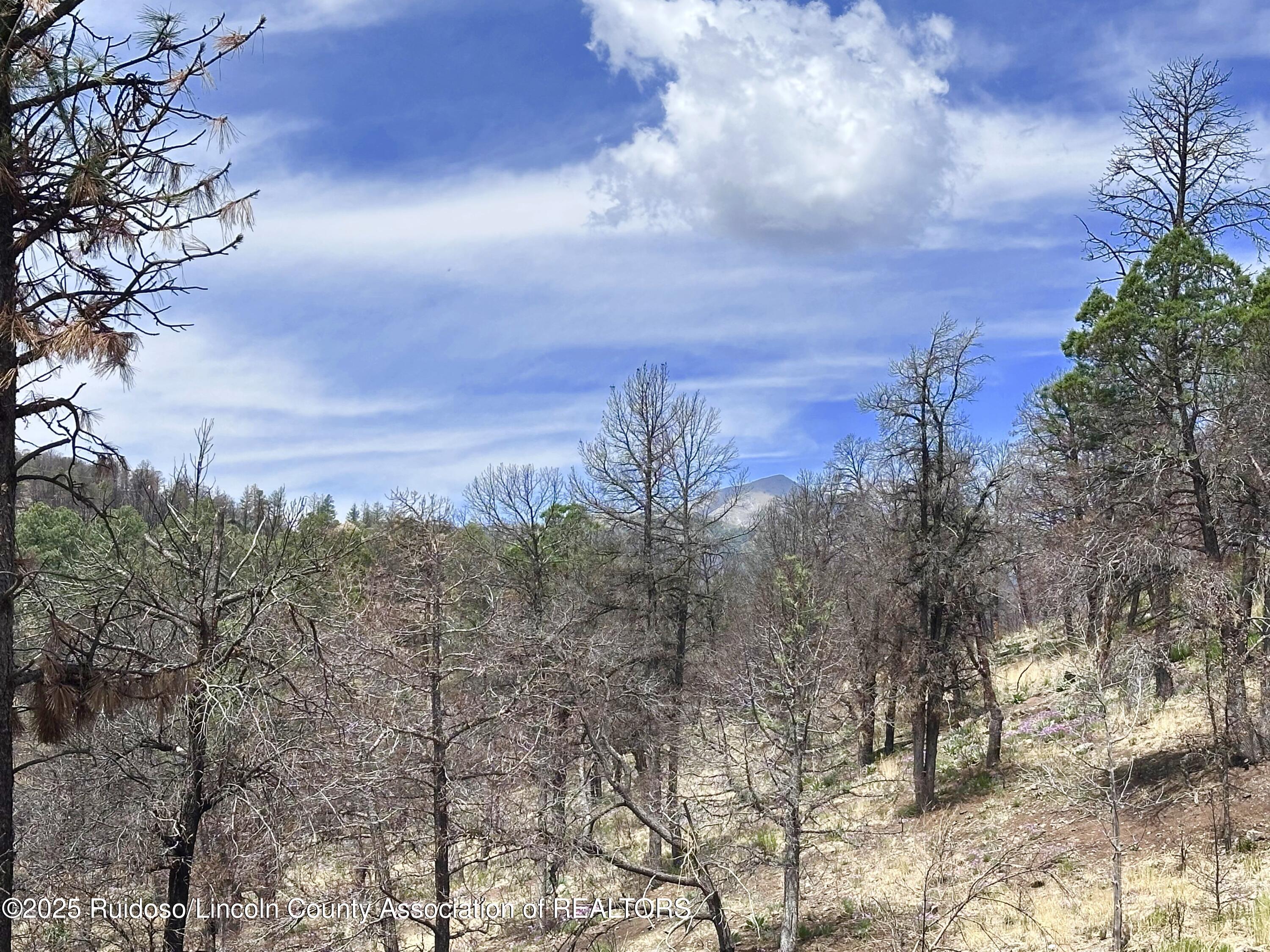 Lots 5-9 Alpine Village Drive, Ruidoso, New Mexico image 13