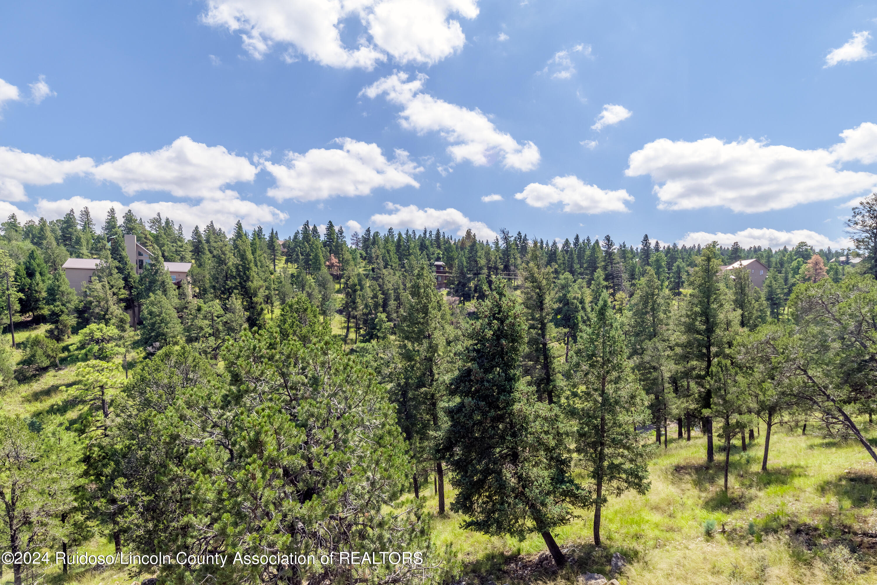 320 Crown Drive, Ruidoso, New Mexico image 30