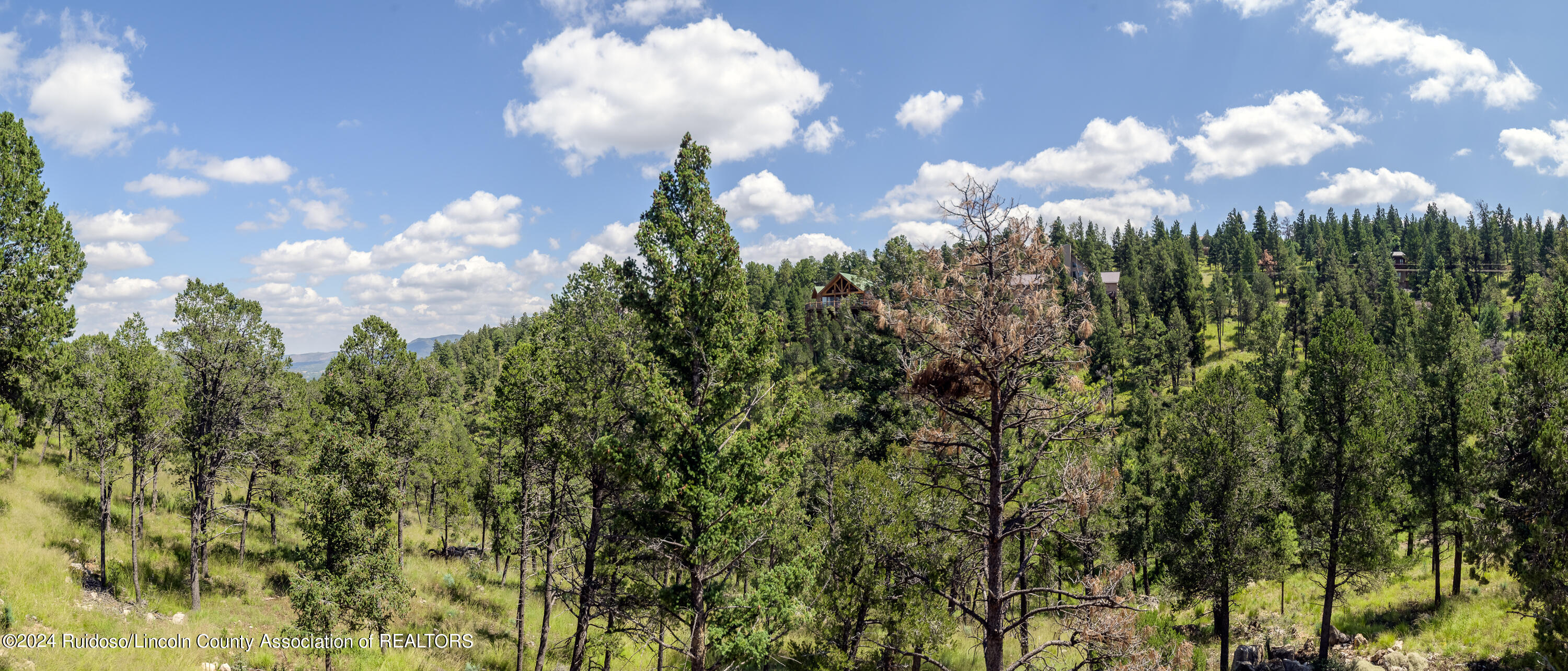 320 Crown Drive, Ruidoso, New Mexico image 10