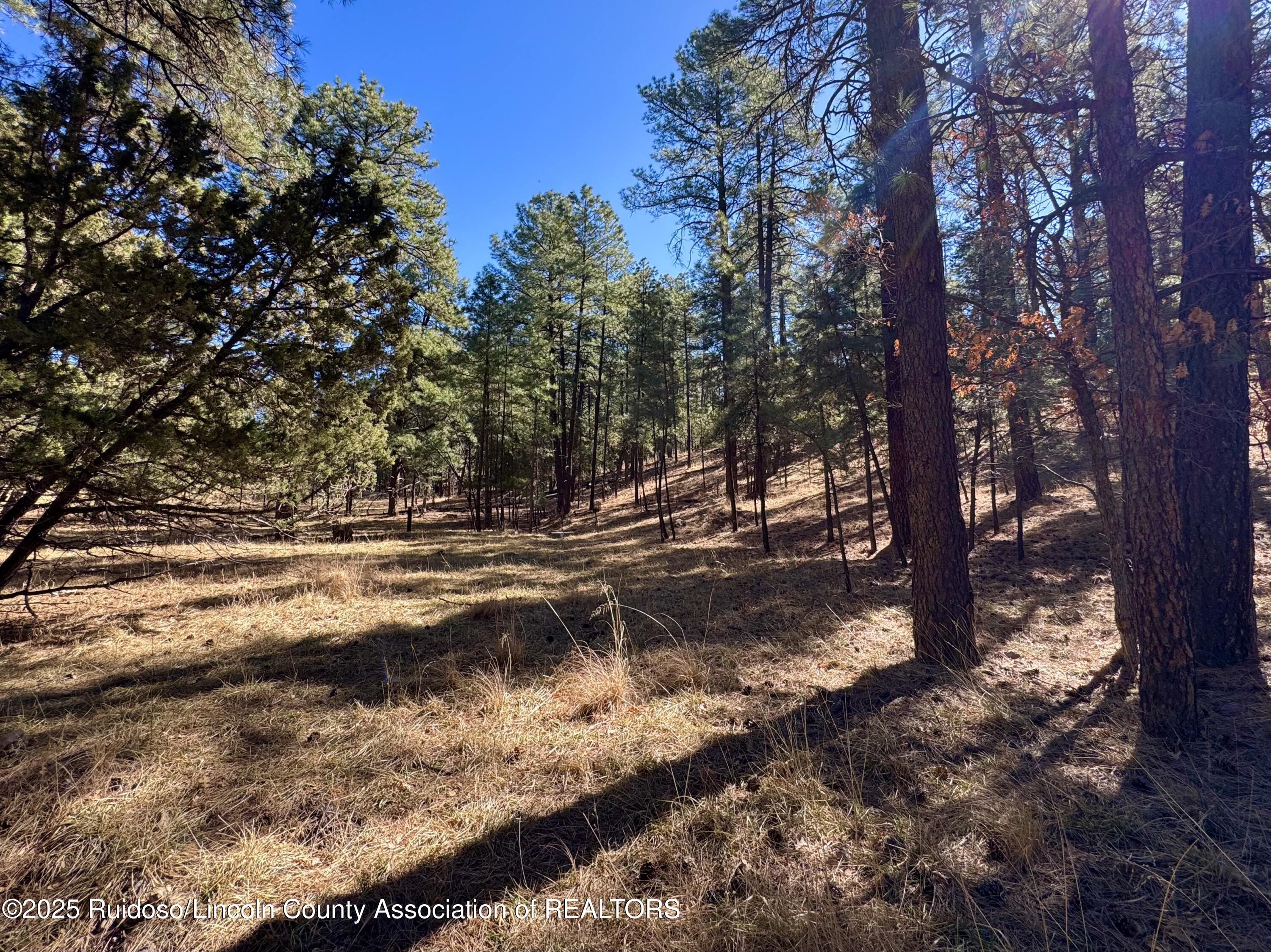 106 Incredible Lane, Alto, New Mexico image 5