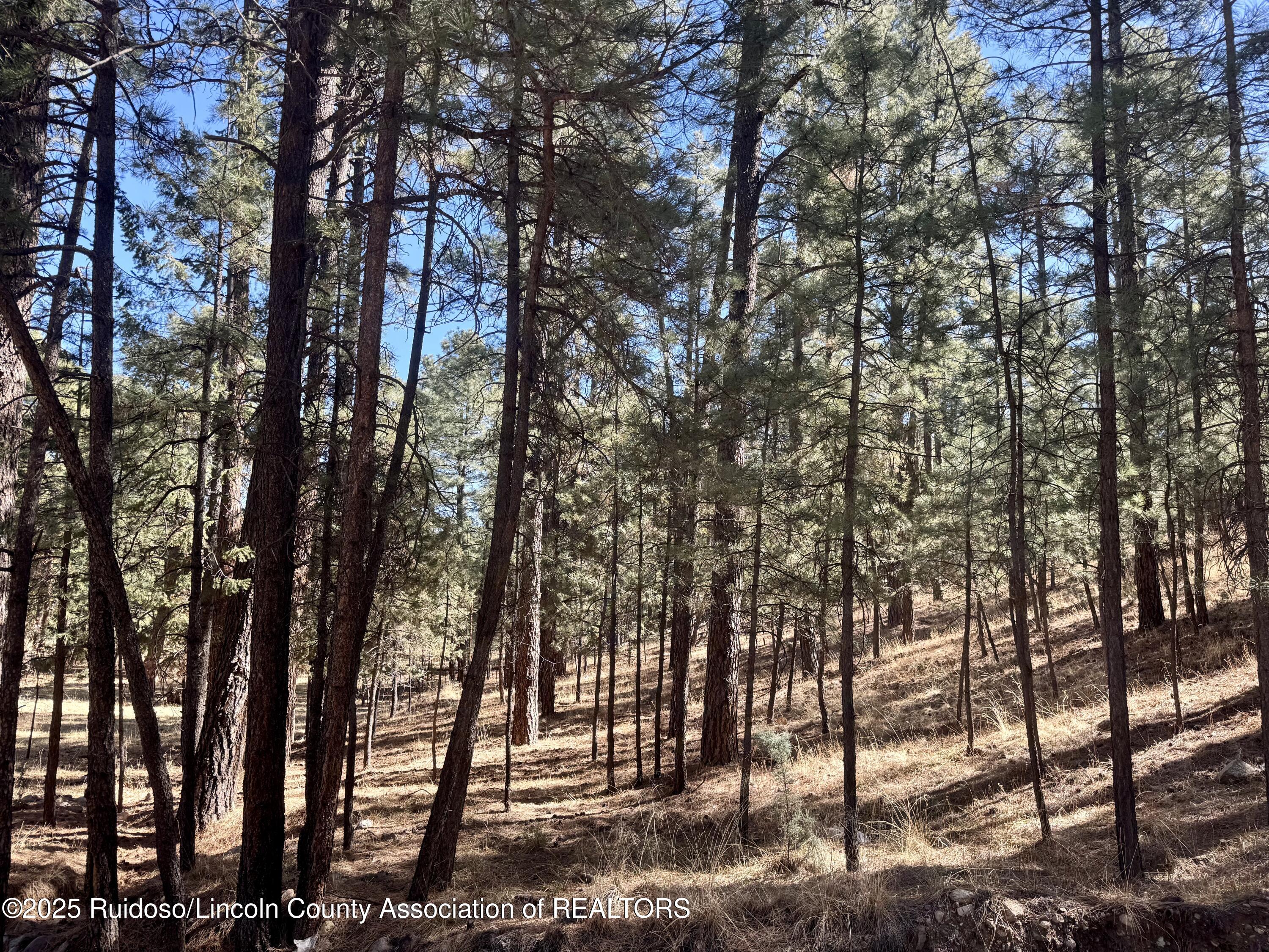 106 Incredible Lane, Alto, New Mexico image 6