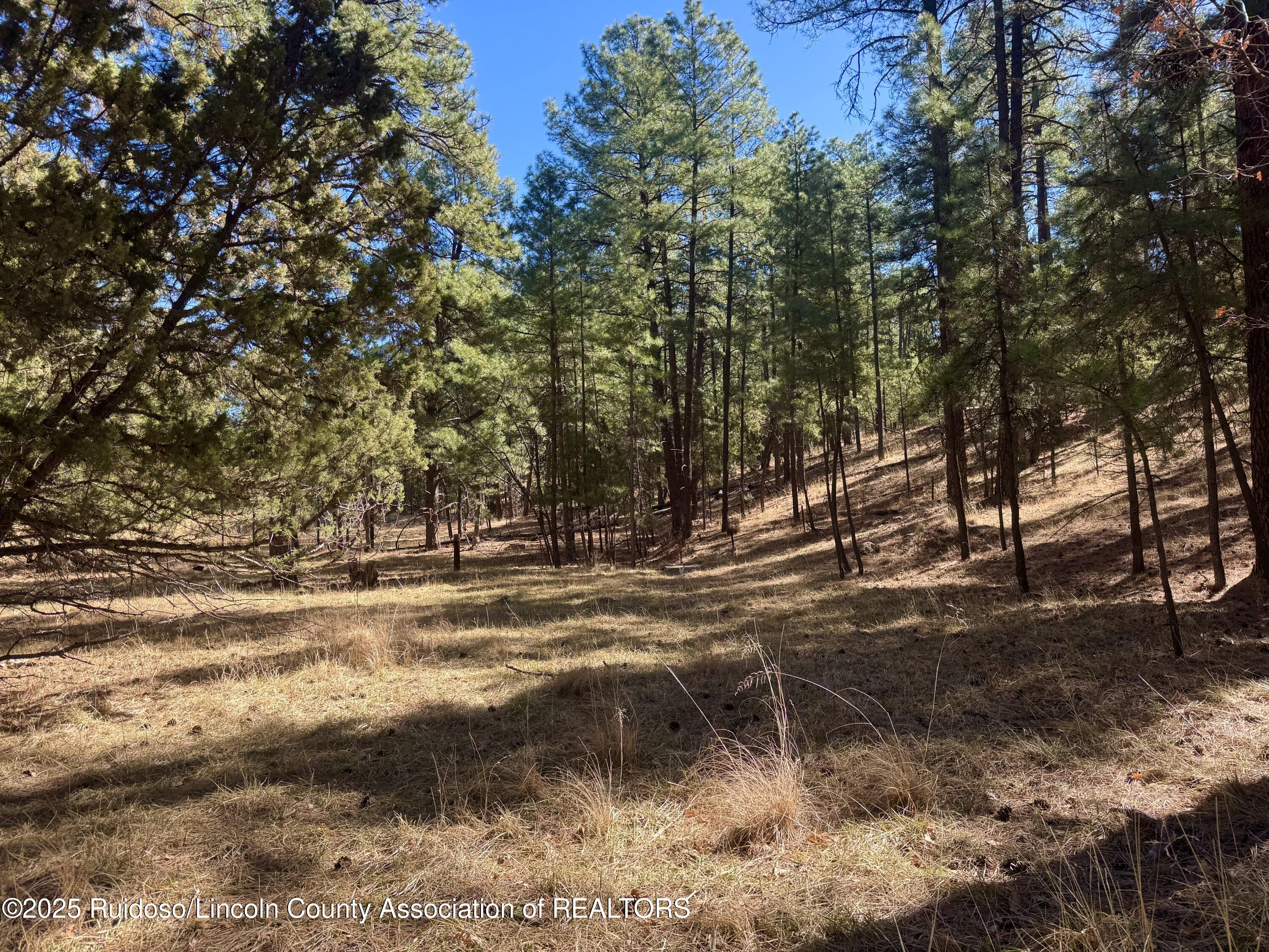 106 Incredible Lane, Alto, New Mexico image 2