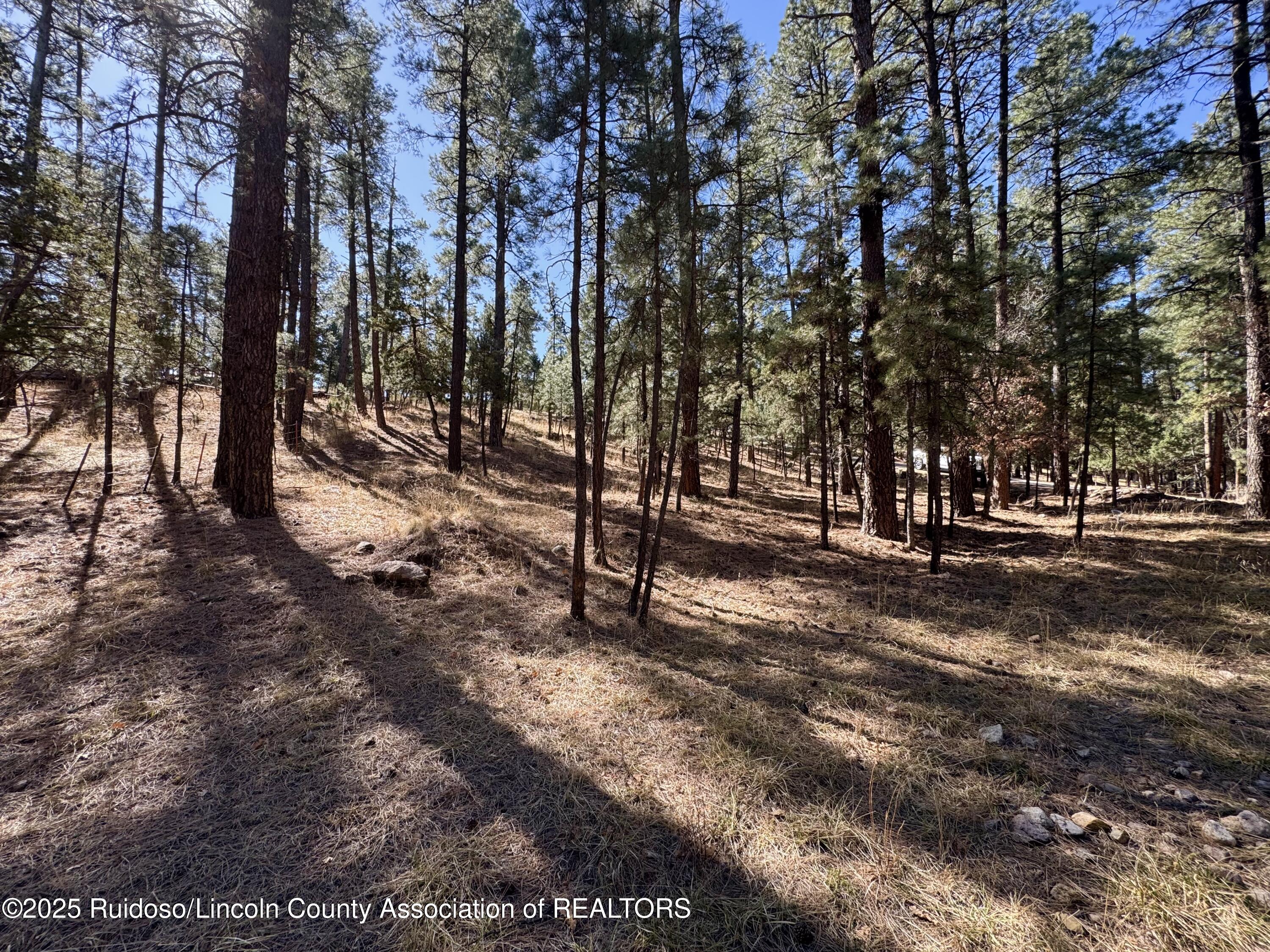 106 Incredible Lane, Alto, New Mexico image 4