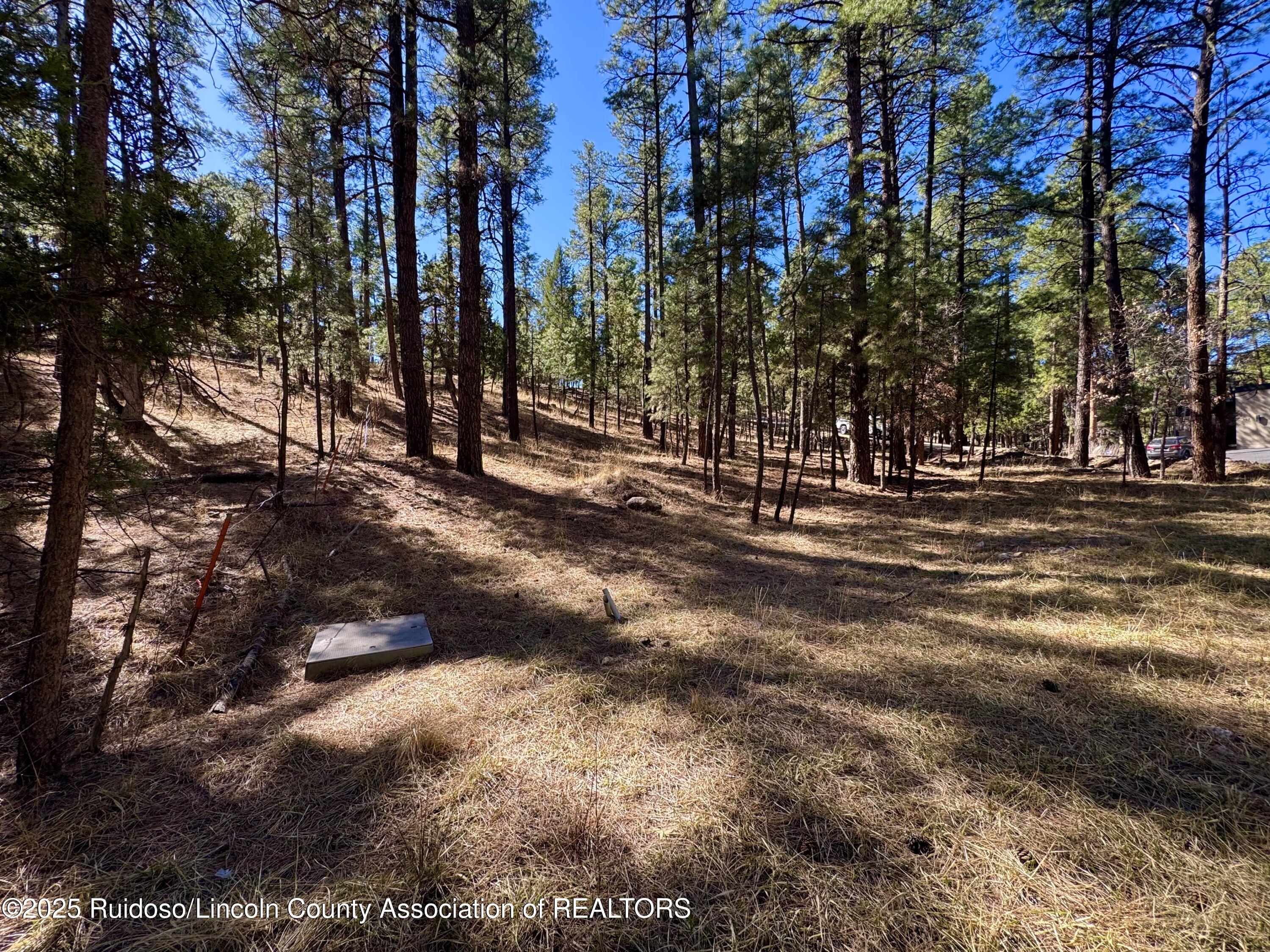 106 Incredible Lane, Alto, New Mexico image 3
