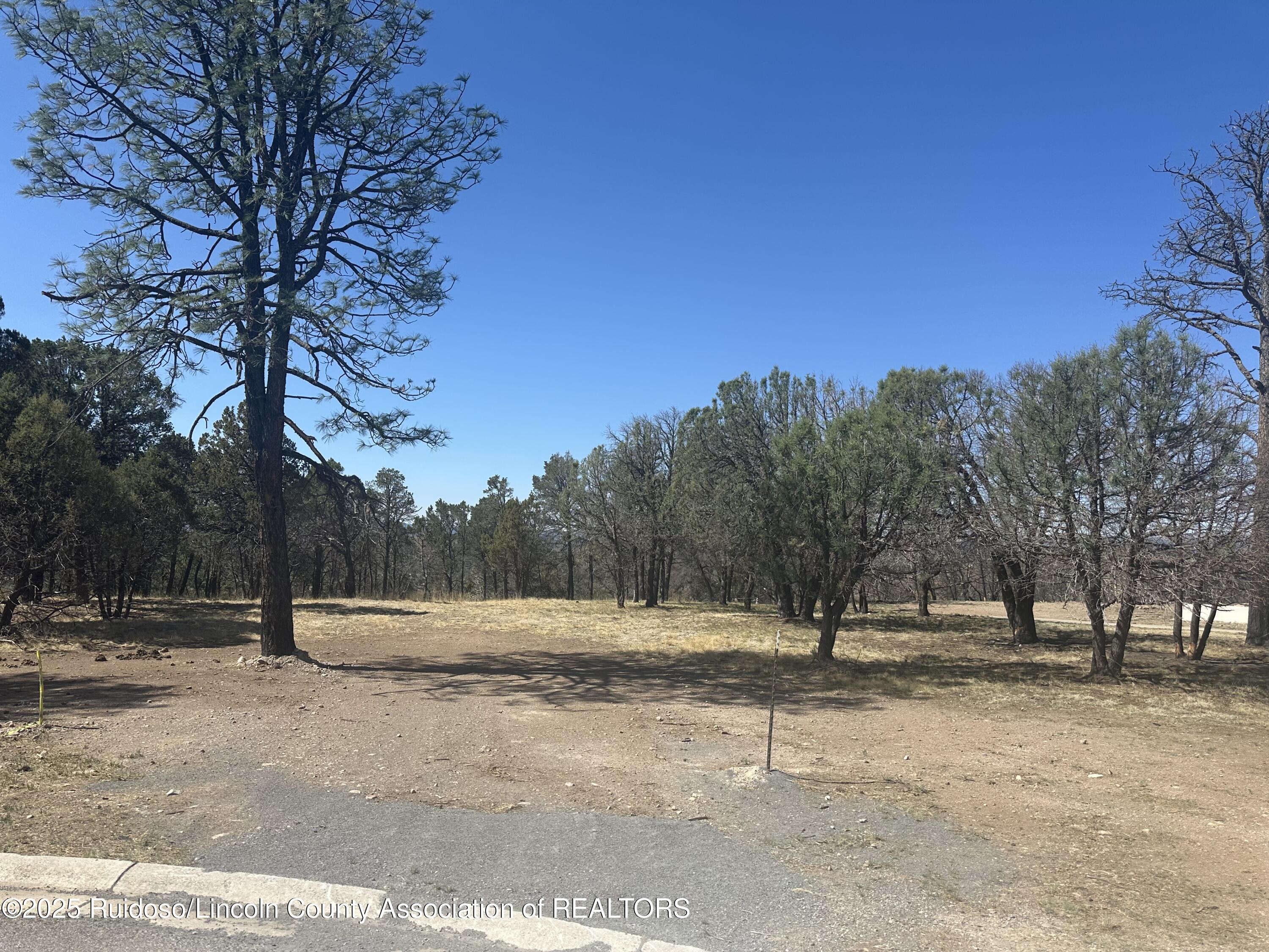 106 Dream Catcher Ct, Alto, New Mexico image 2