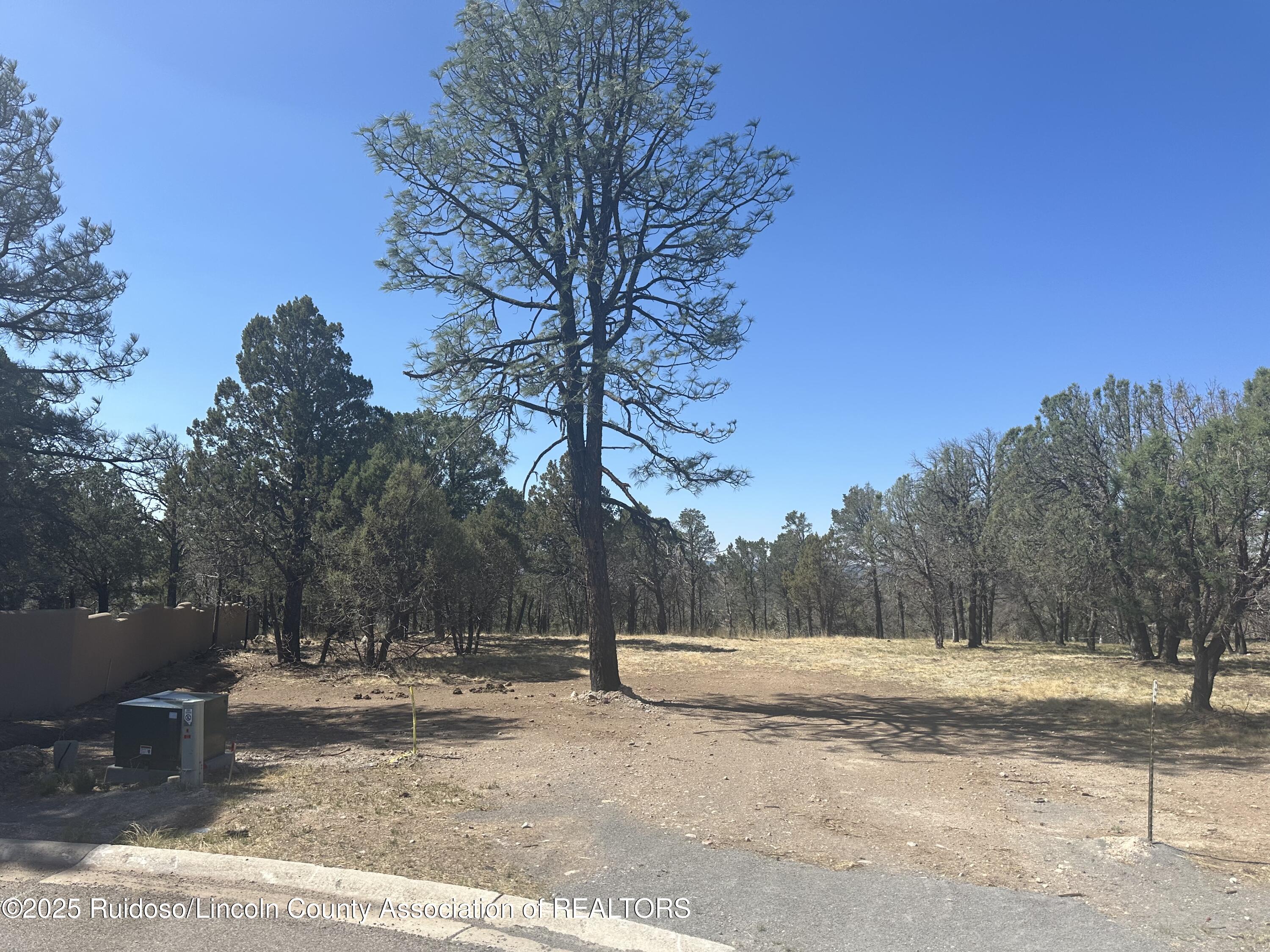 106 Dream Catcher Ct, Alto, New Mexico image 3