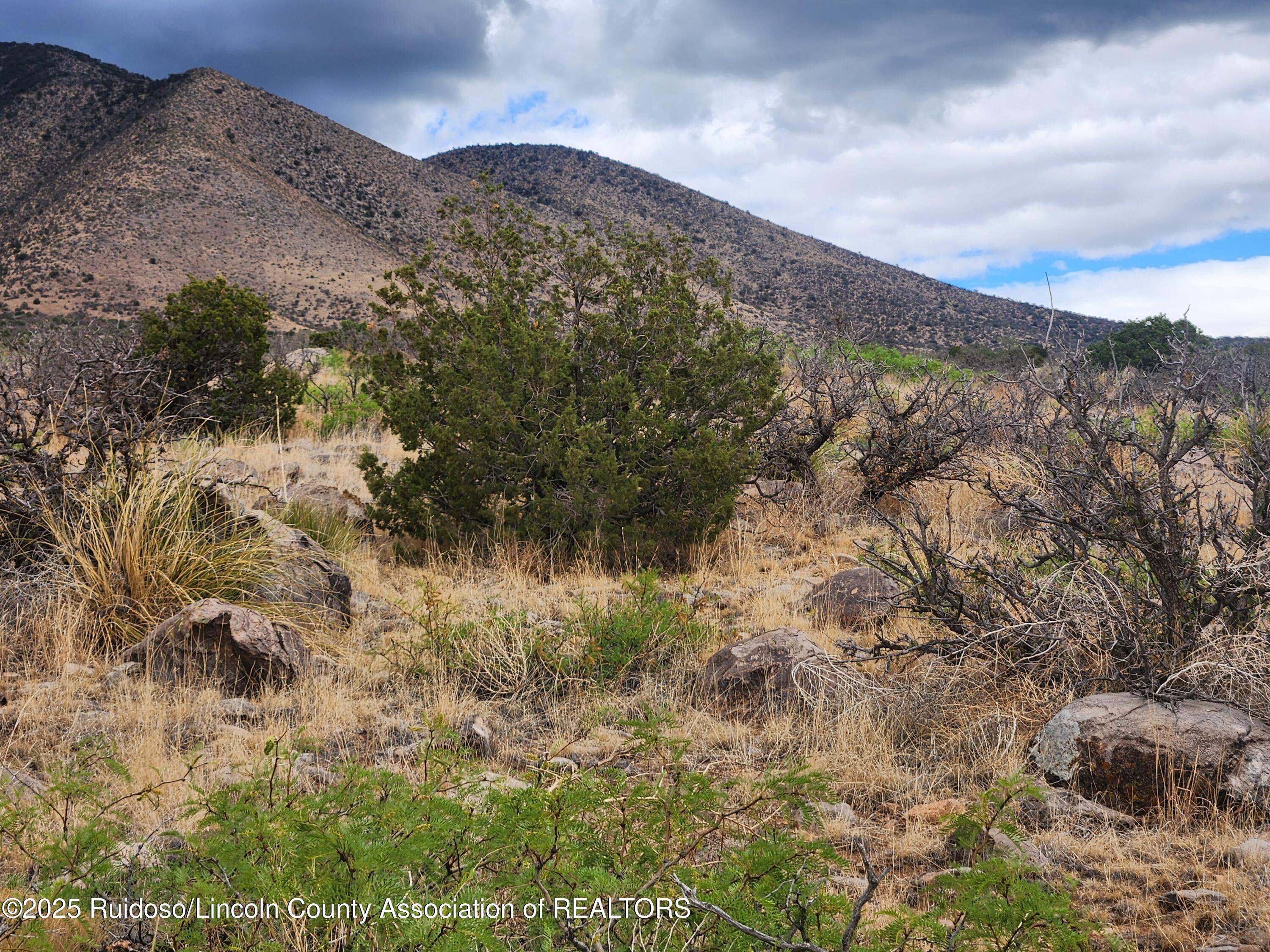 L15 Rancho Montana, Carrizozo, New Mexico image 21
