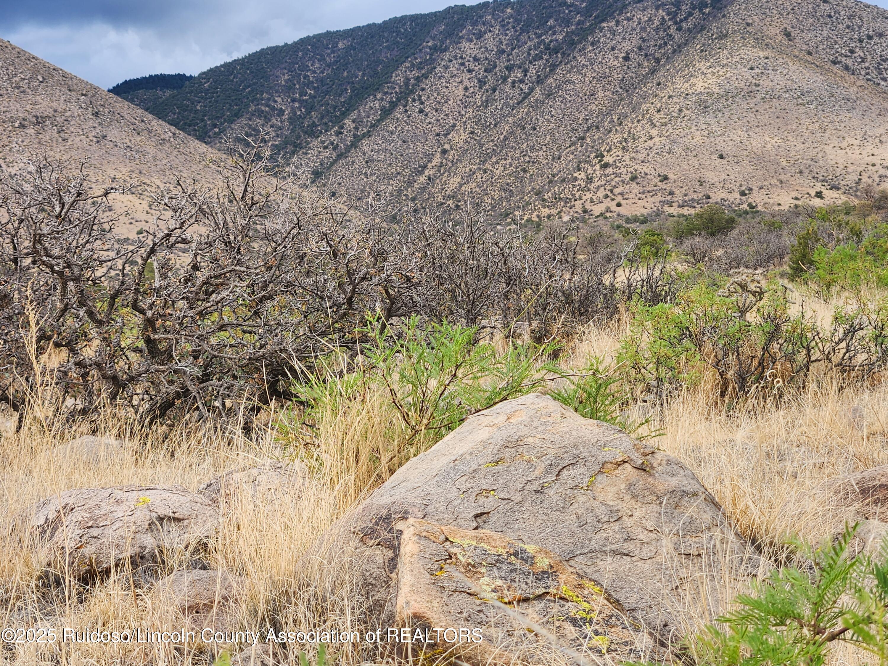 L15 Rancho Montana, Carrizozo, New Mexico image 4