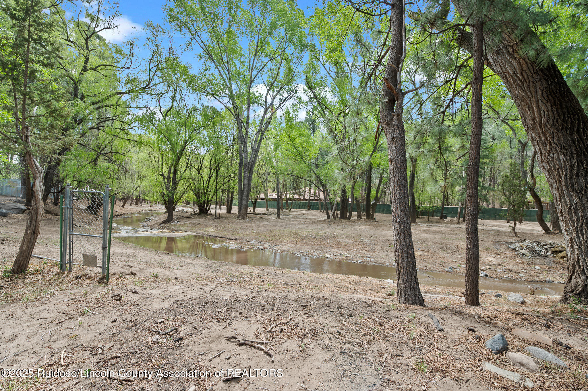 112 Meander Drive, Ruidoso, New Mexico image 39