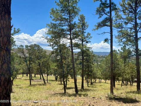 Vacant Land For Sale - 111 Topside Drive<br/> Lincoln County, Ruidoso, NM 88345
