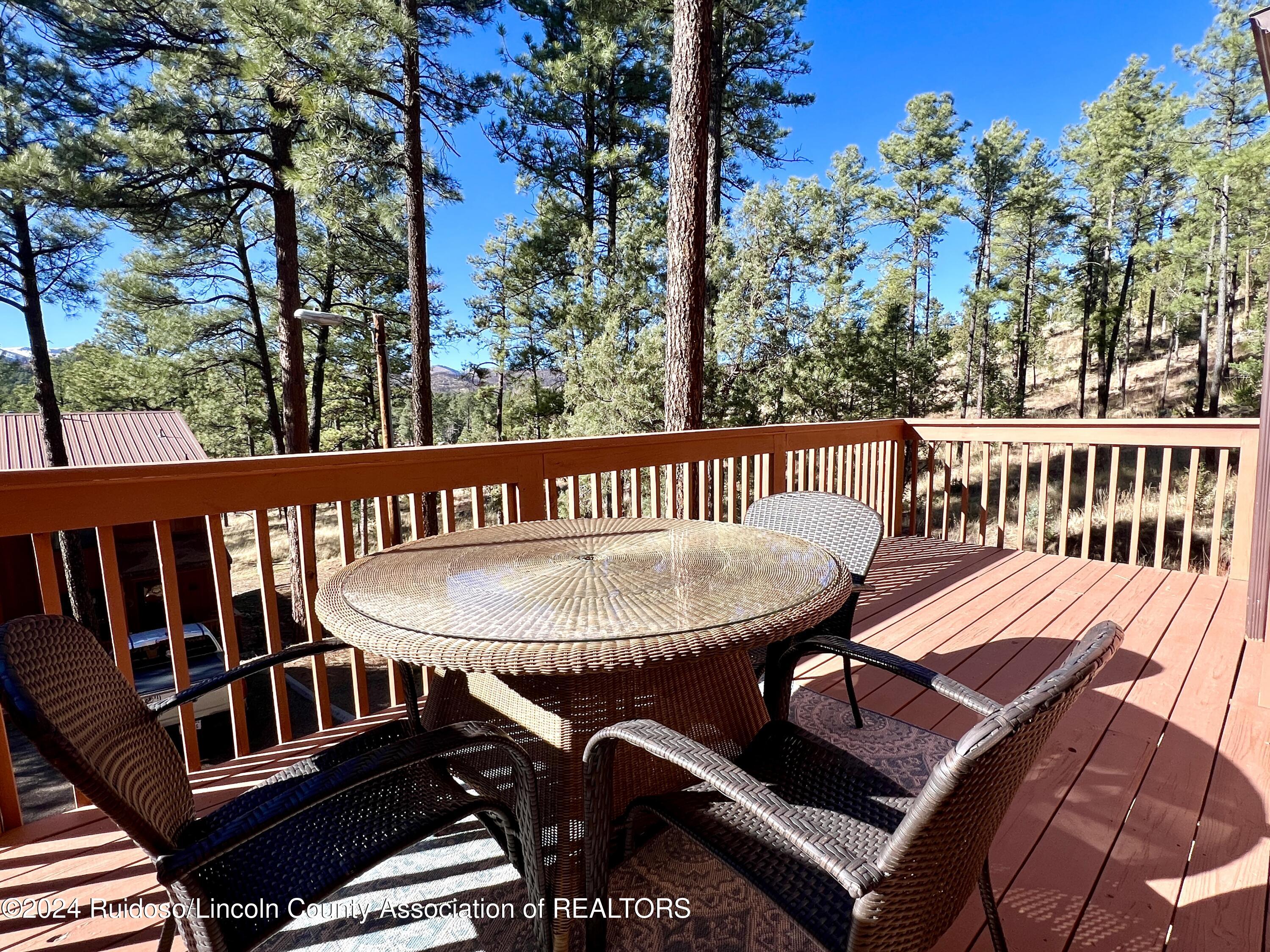 604 White Mountain Drive #101, Ruidoso, New Mexico image 38