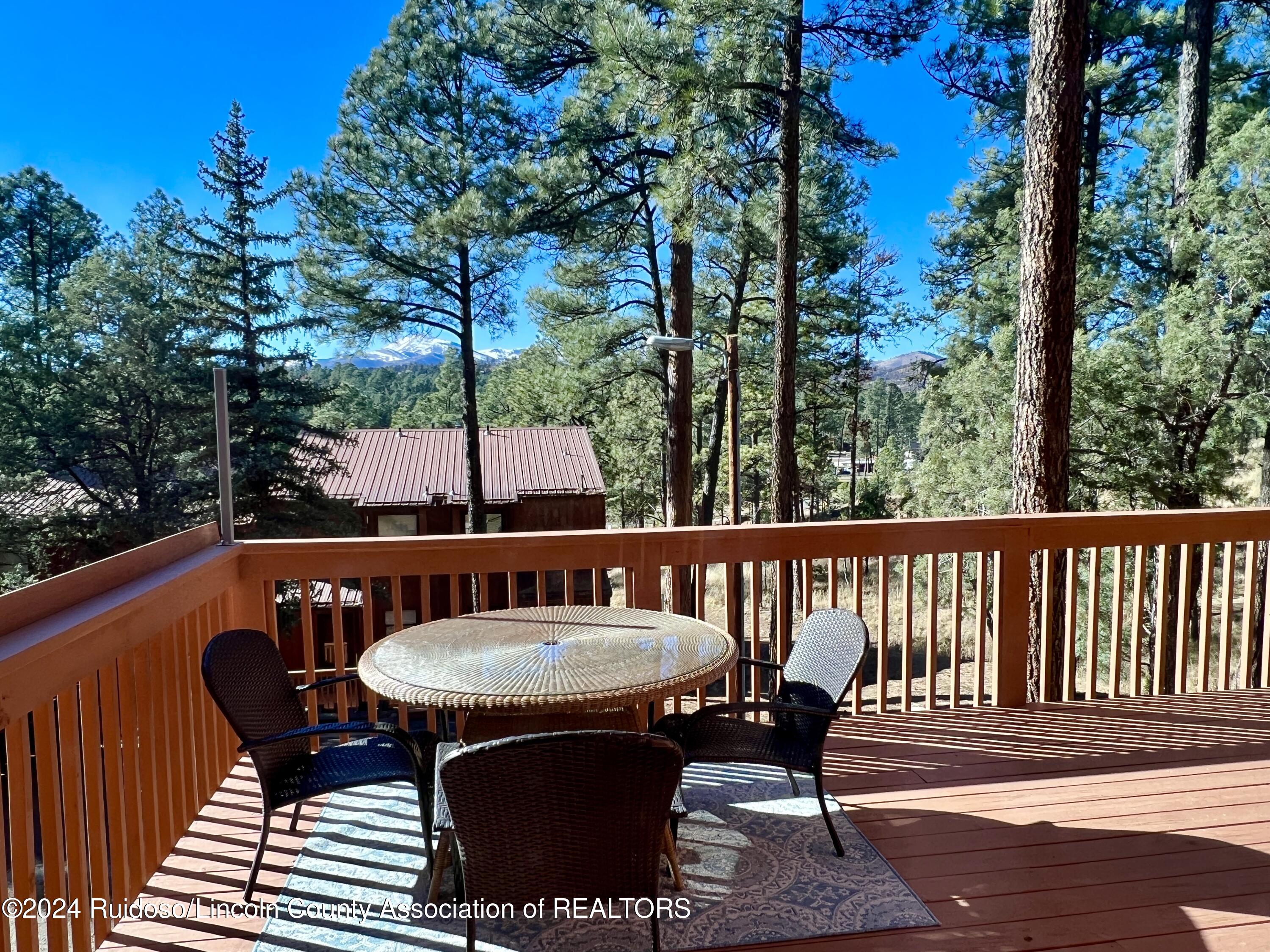 604 White Mountain Drive #101, Ruidoso, New Mexico image 39