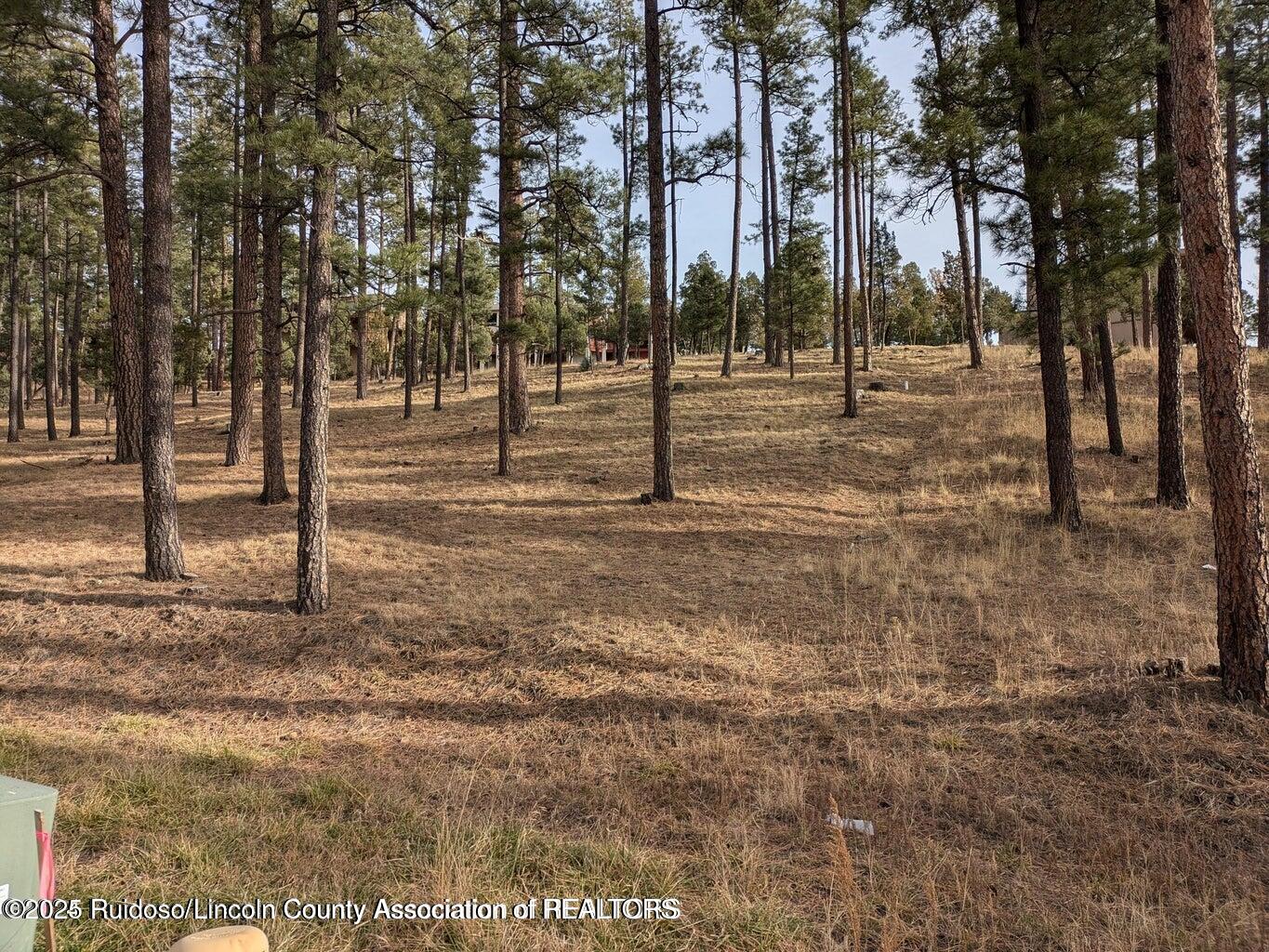 320 White Mountain Meadows Drive, Ruidoso, New Mexico image 5
