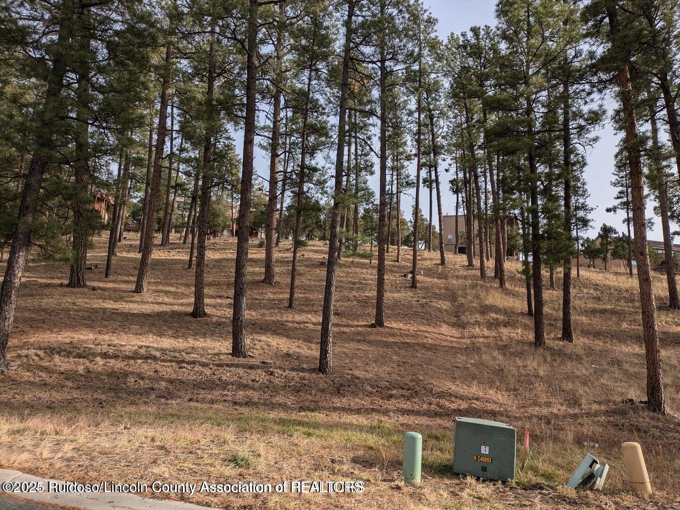 320 White Mountain Meadows Drive, Ruidoso, New Mexico image 4