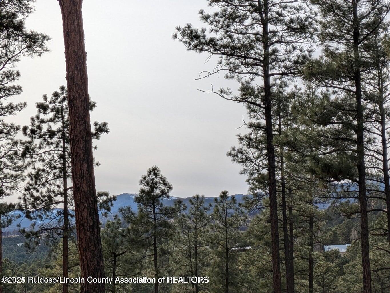 320 White Mountain Meadows Drive, Ruidoso, New Mexico image 9