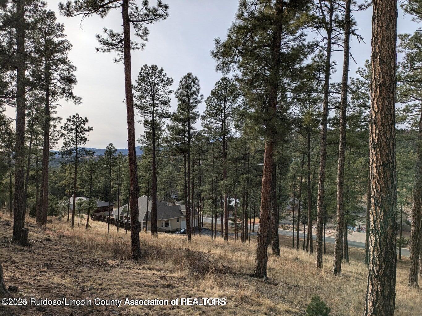 320 White Mountain Meadows Drive, Ruidoso, New Mexico image 8