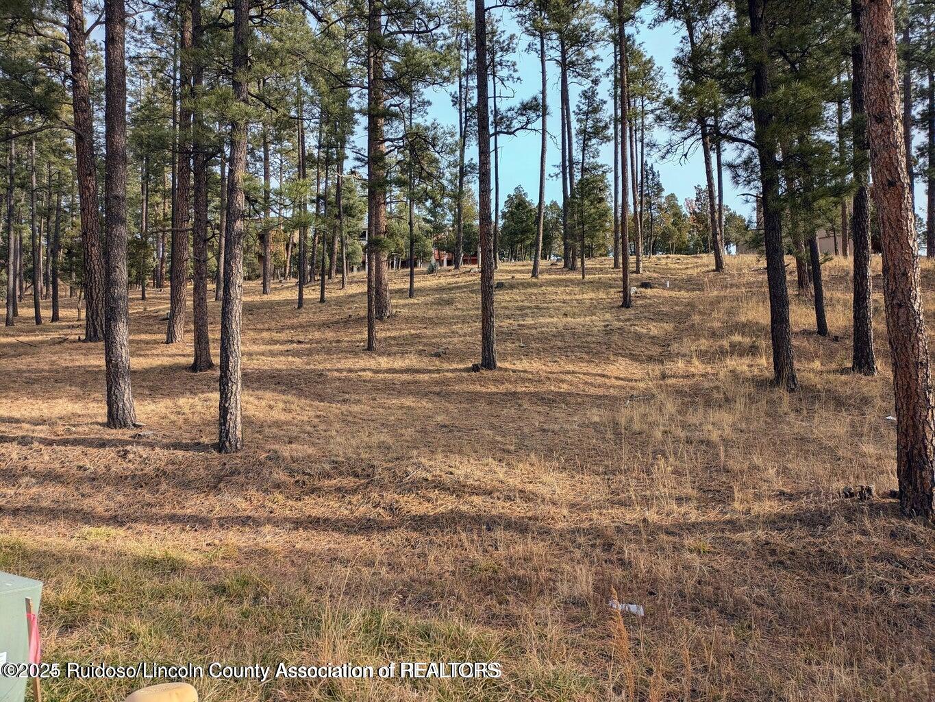 320 White Mountain Meadows Drive, Ruidoso, New Mexico image 1