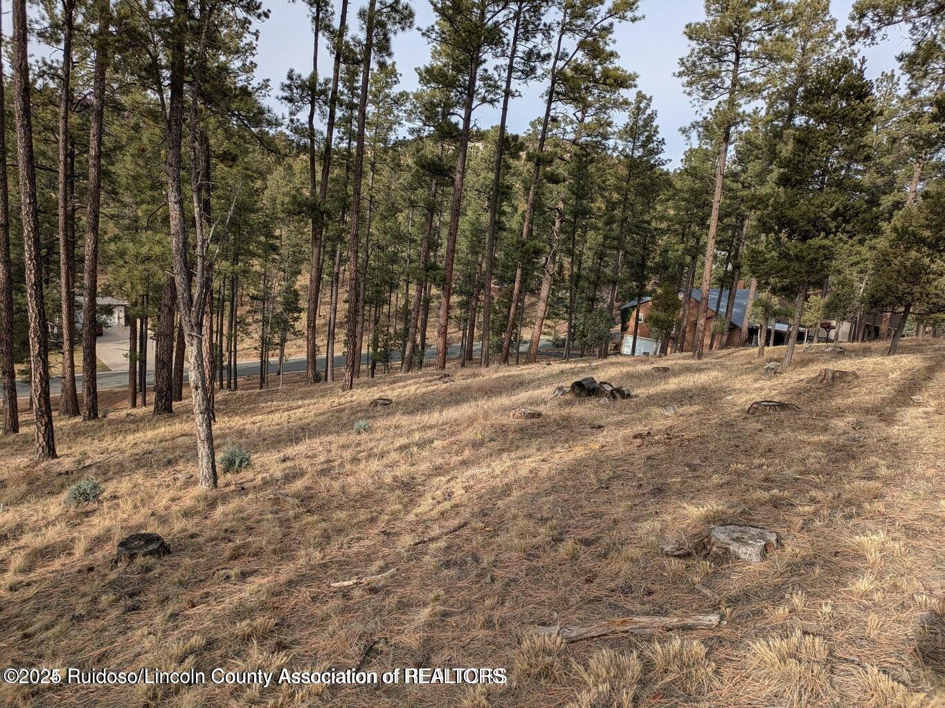 320 White Mountain Meadows Drive, Ruidoso, New Mexico image 7