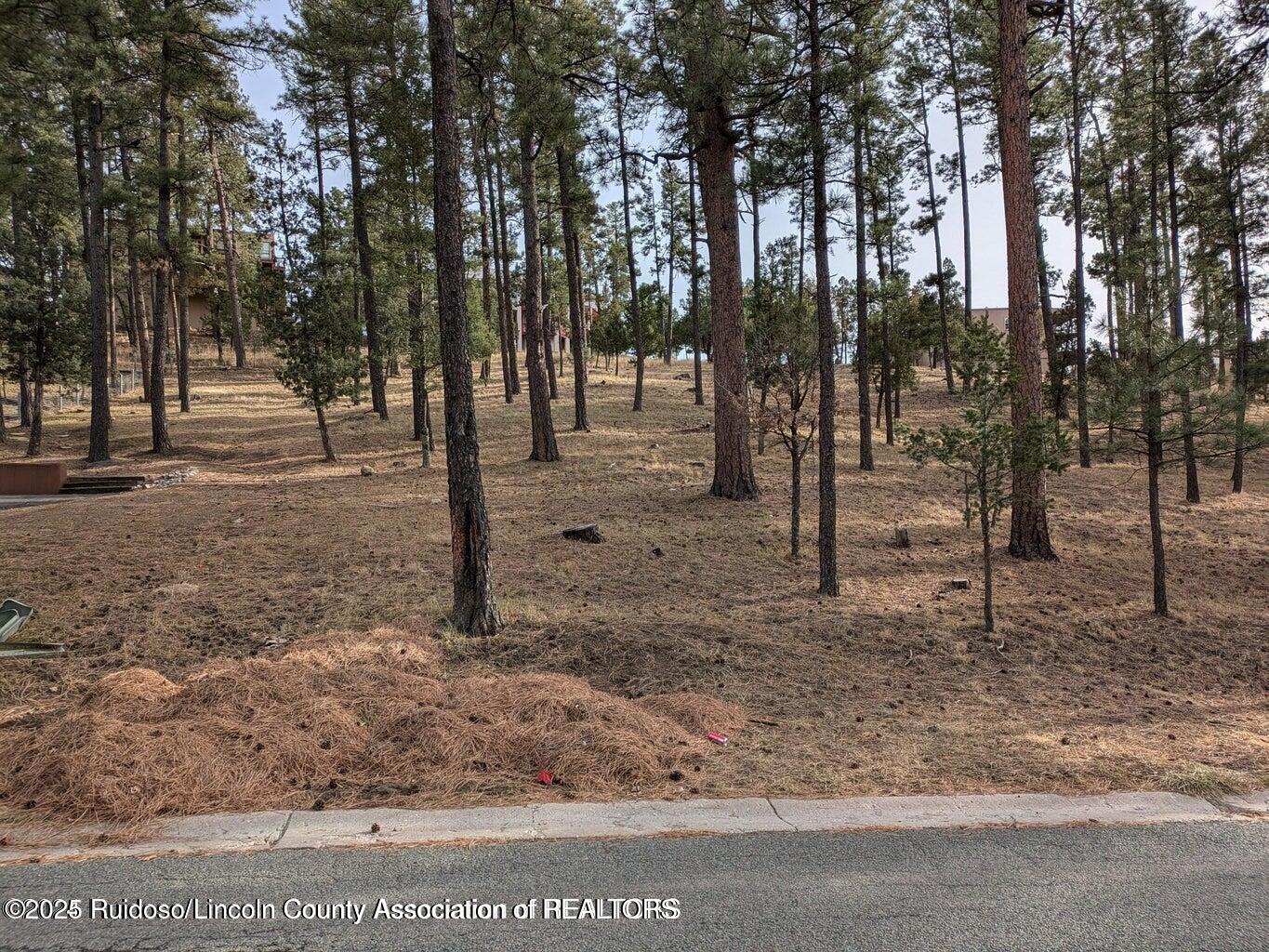 320 White Mountain Meadows Drive, Ruidoso, New Mexico image 2