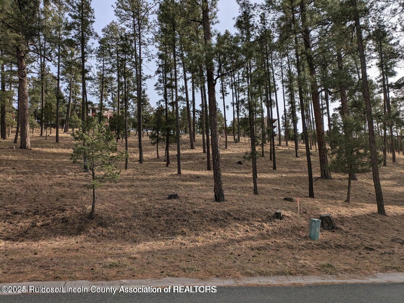 320 White Mountain Meadows Drive, Ruidoso, New Mexico image 3