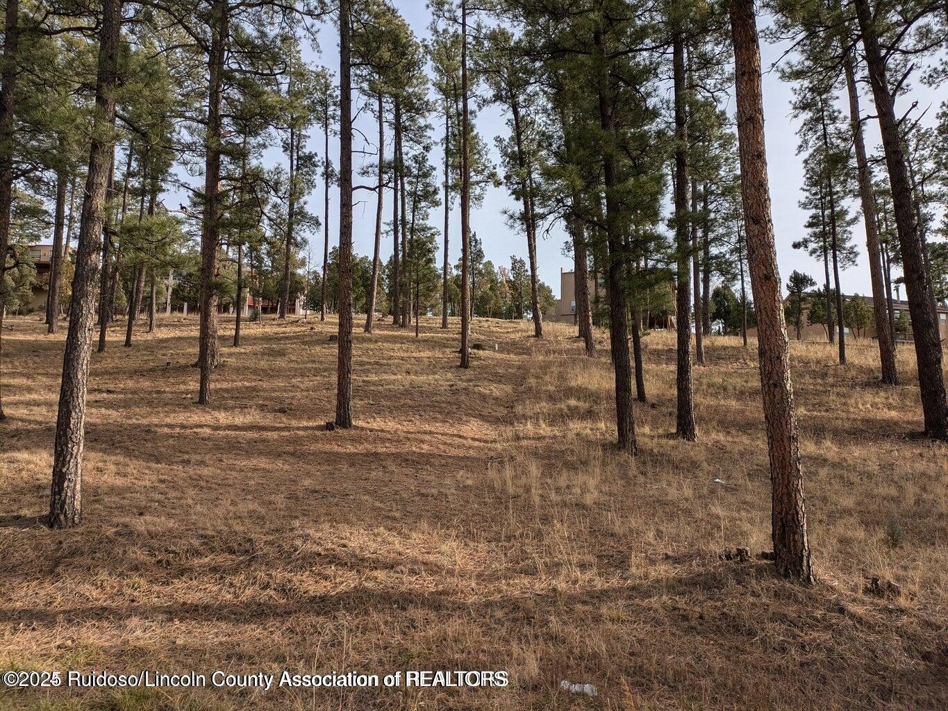 320 White Mountain Meadows Drive, Ruidoso, New Mexico image 6