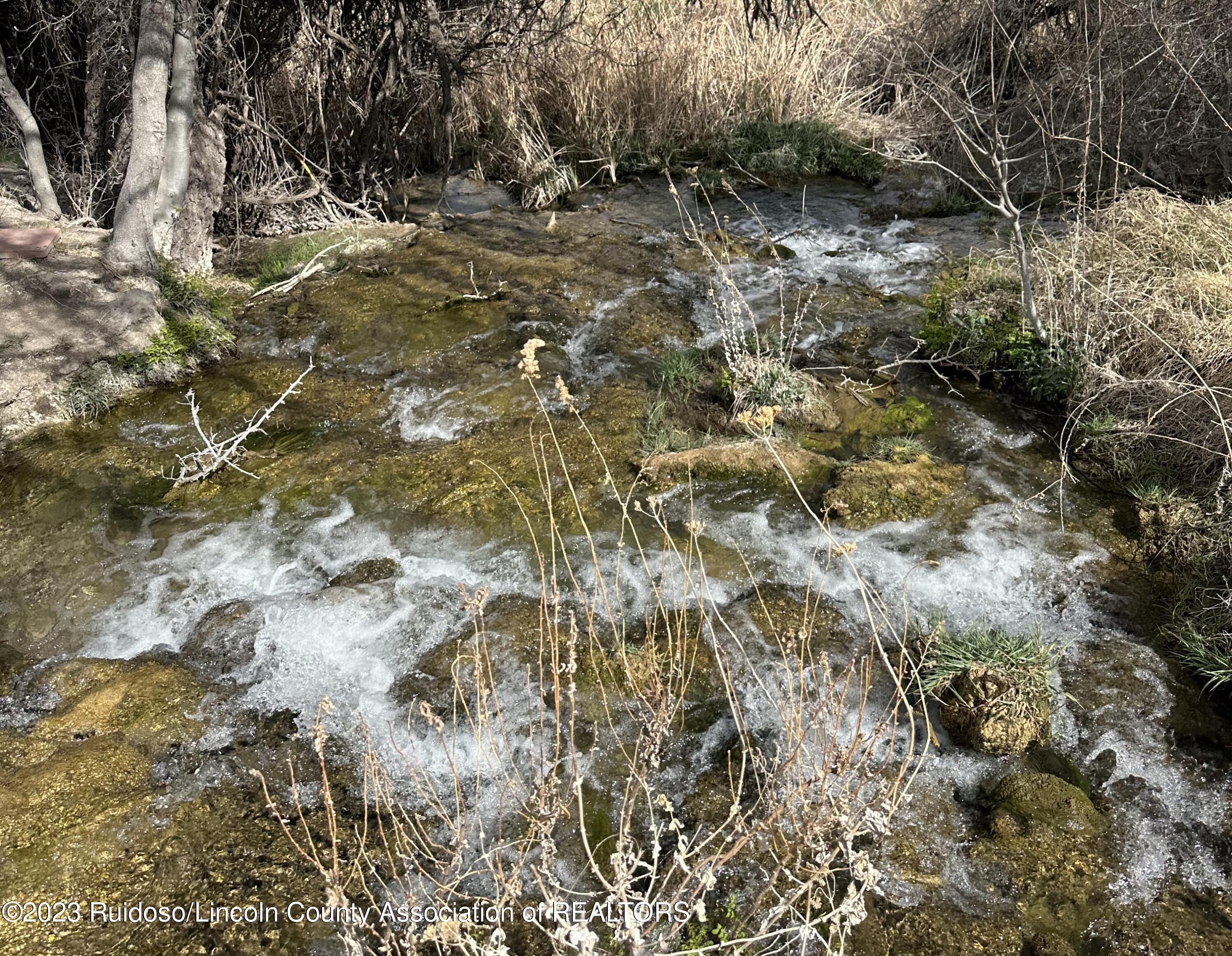 1232 Black River Village Road