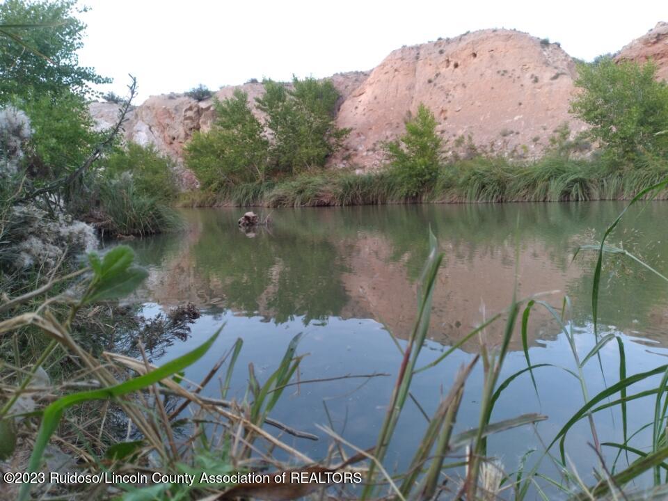 1232 Black River Village Road