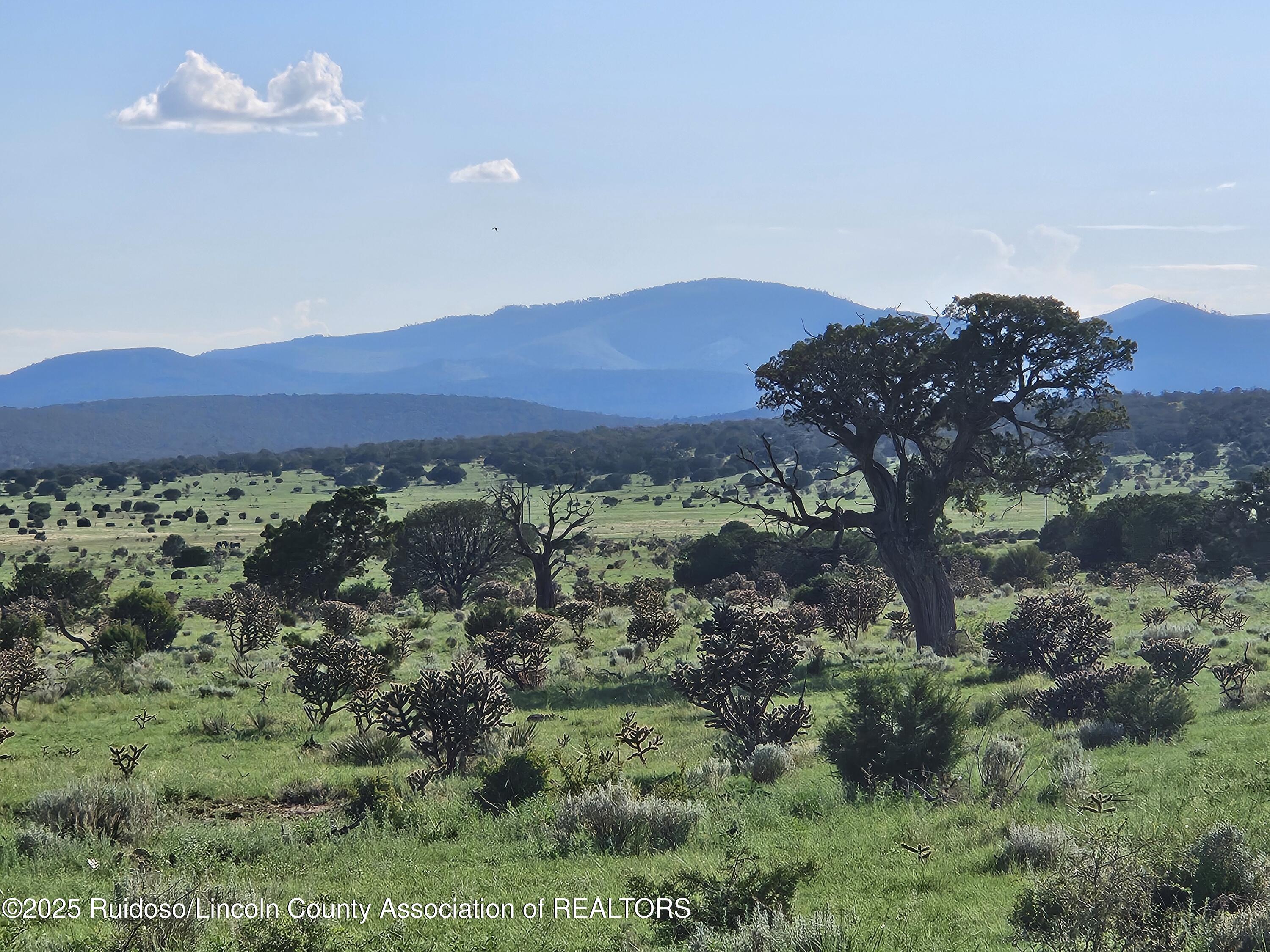 205 Katrina Road, Corona, New Mexico image 19