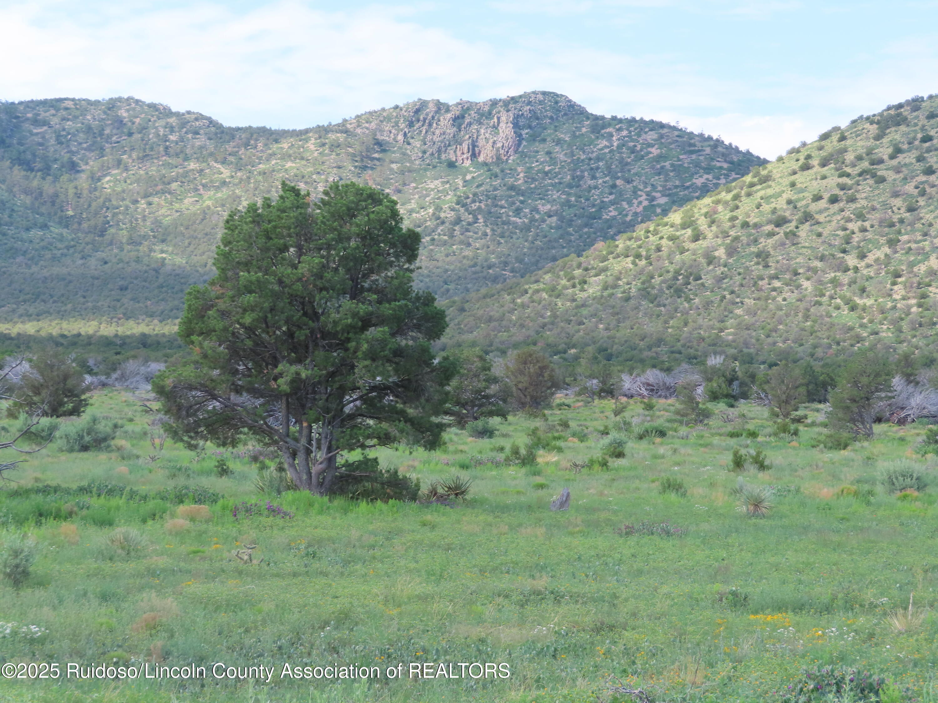 205 Katrina Road, Corona, New Mexico image 9