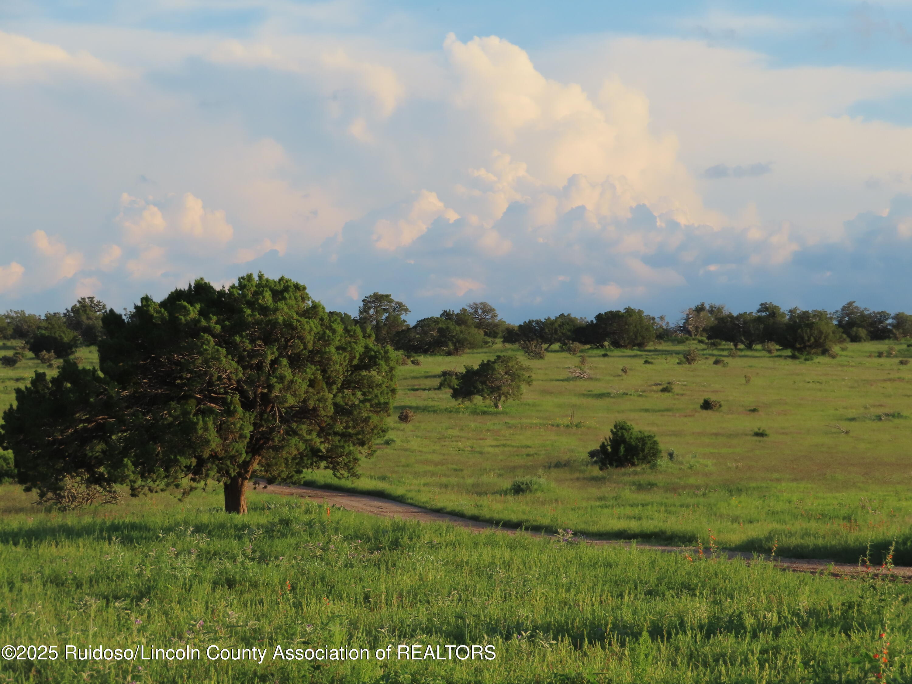 205 Katrina Road, Corona, New Mexico image 12