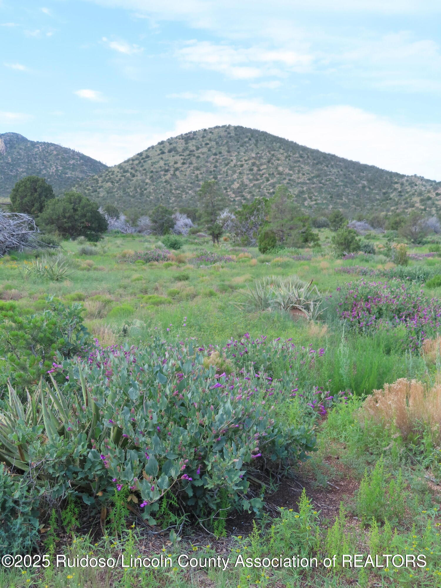 205 Katrina Road, Corona, New Mexico image 8