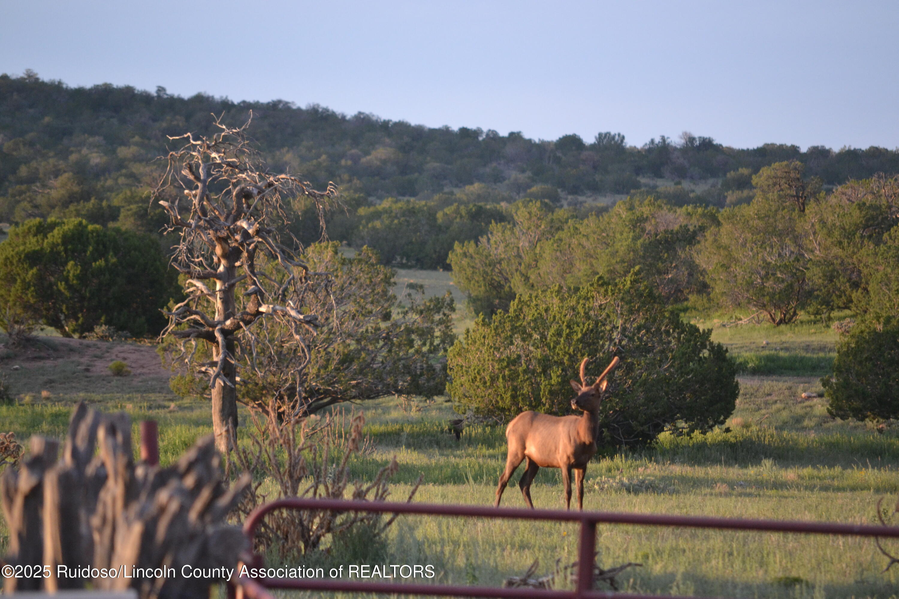 205 Katrina Road, Corona, New Mexico image 29