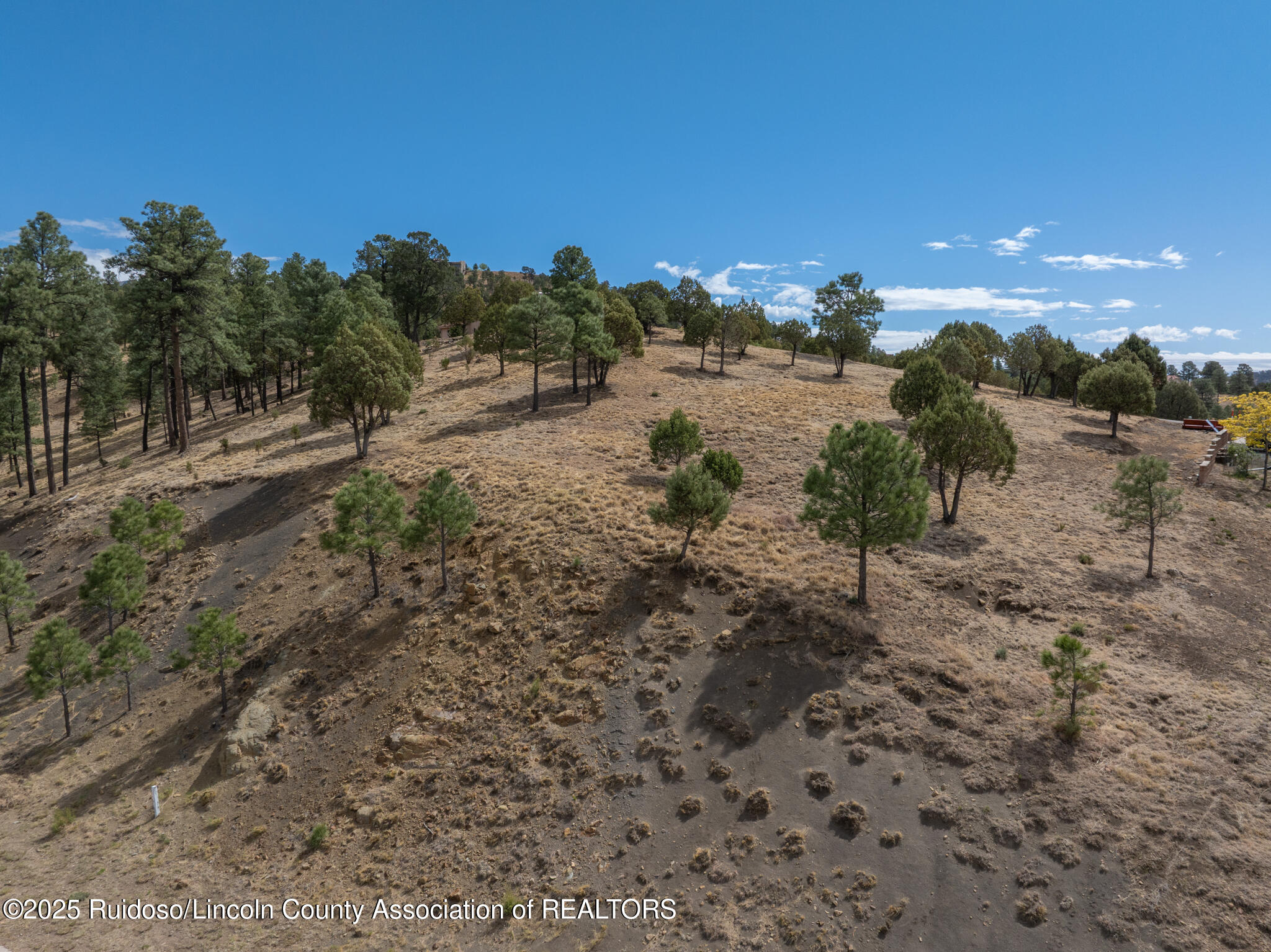 105 Milagro Hills Court, Ruidoso, New Mexico image 9